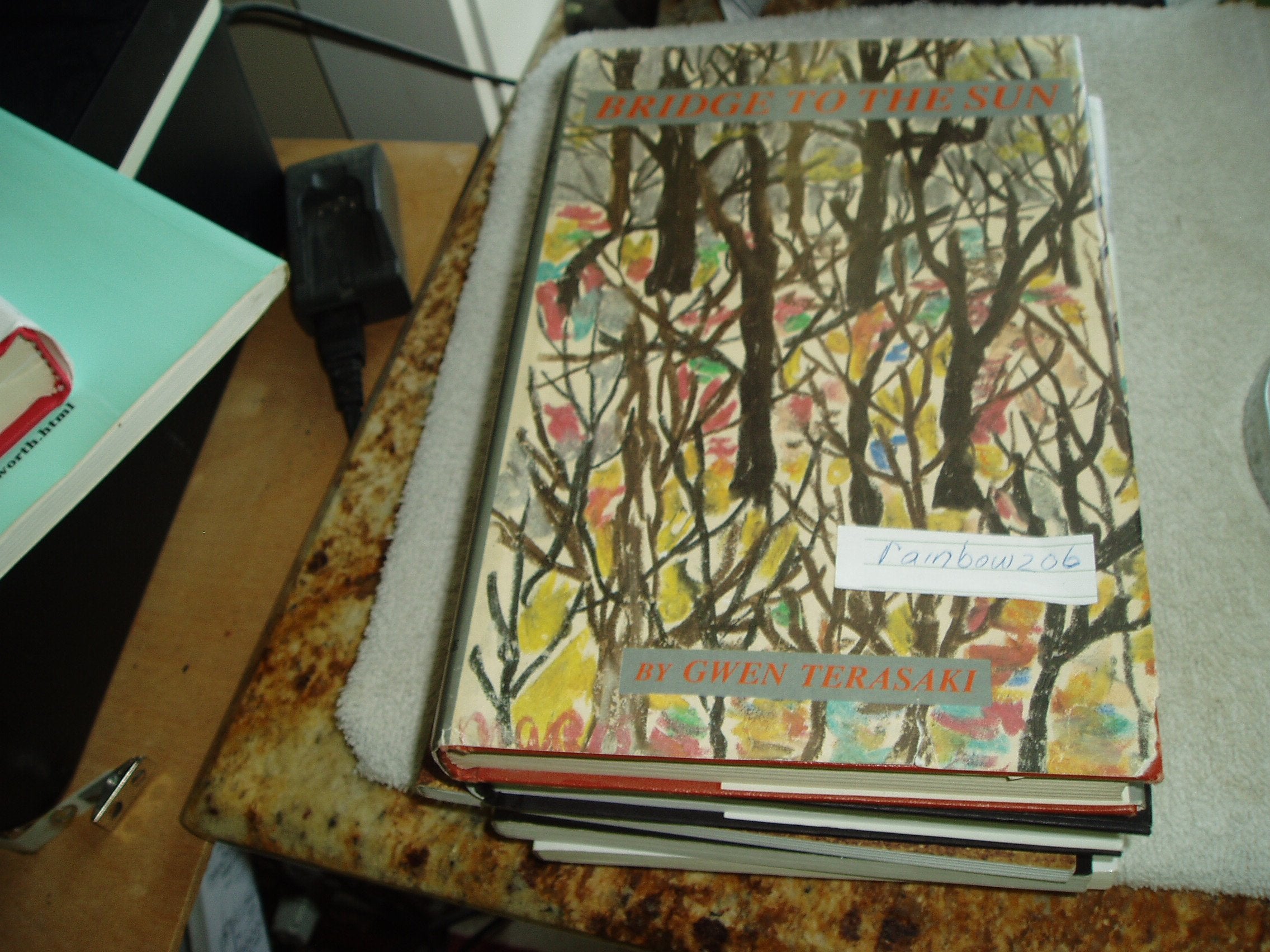 Bridge To The Sun,New