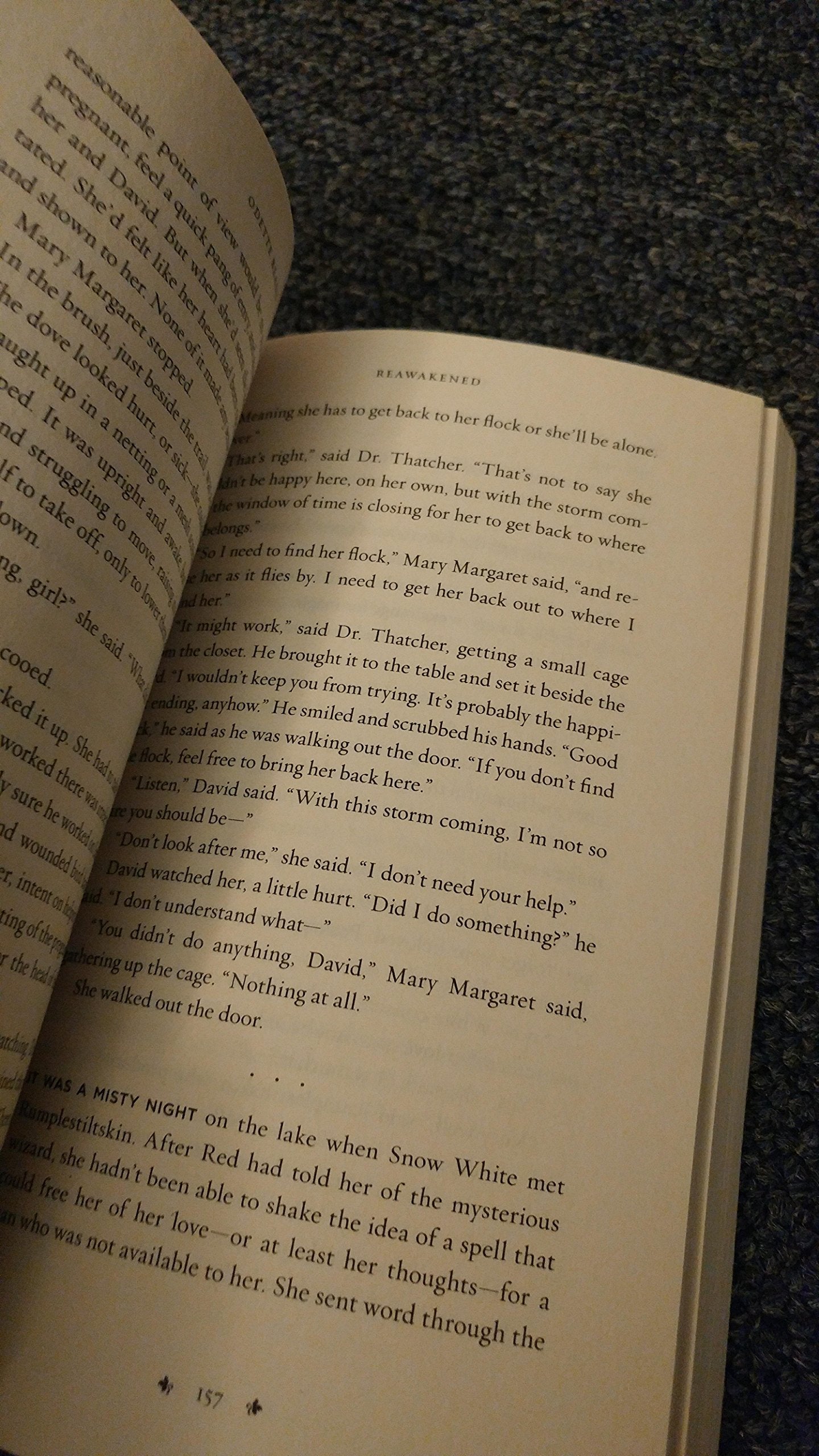 Reawakened: A Once Upon a Time Tale,Used