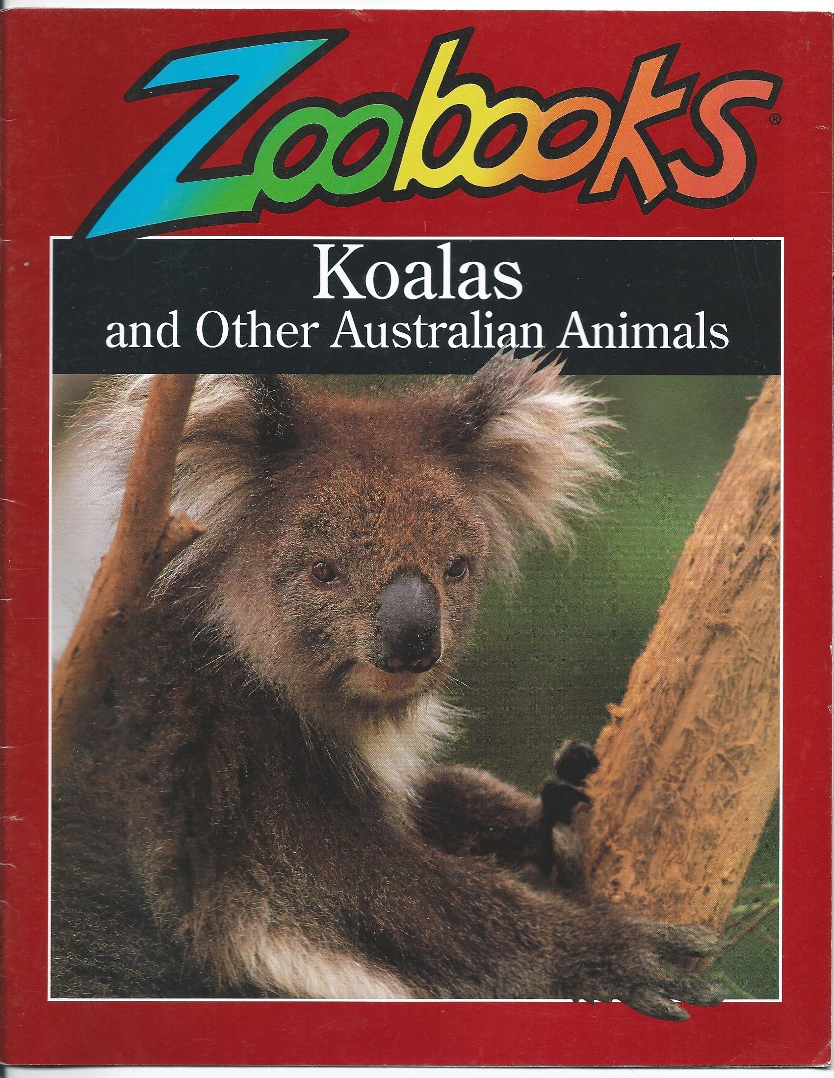 Koalas and Other Australian Animals (Zoobooks Series),Used