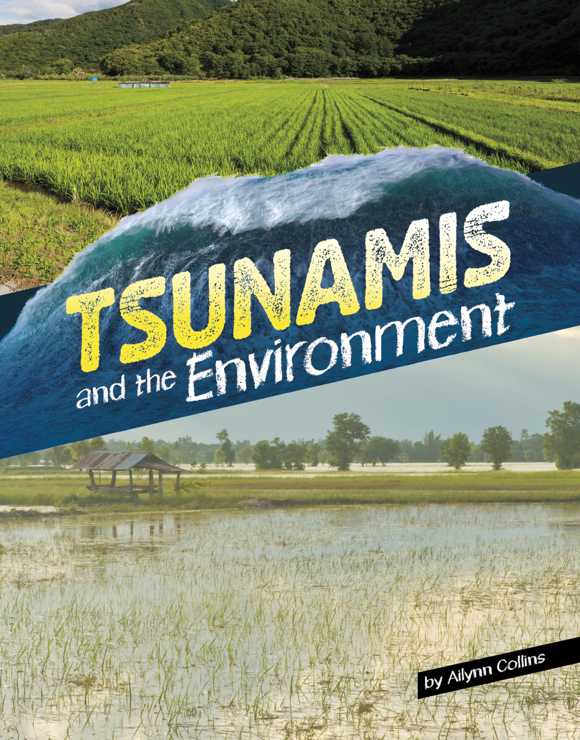 Tsunamis and the Environment (Disasters and the Environment),New