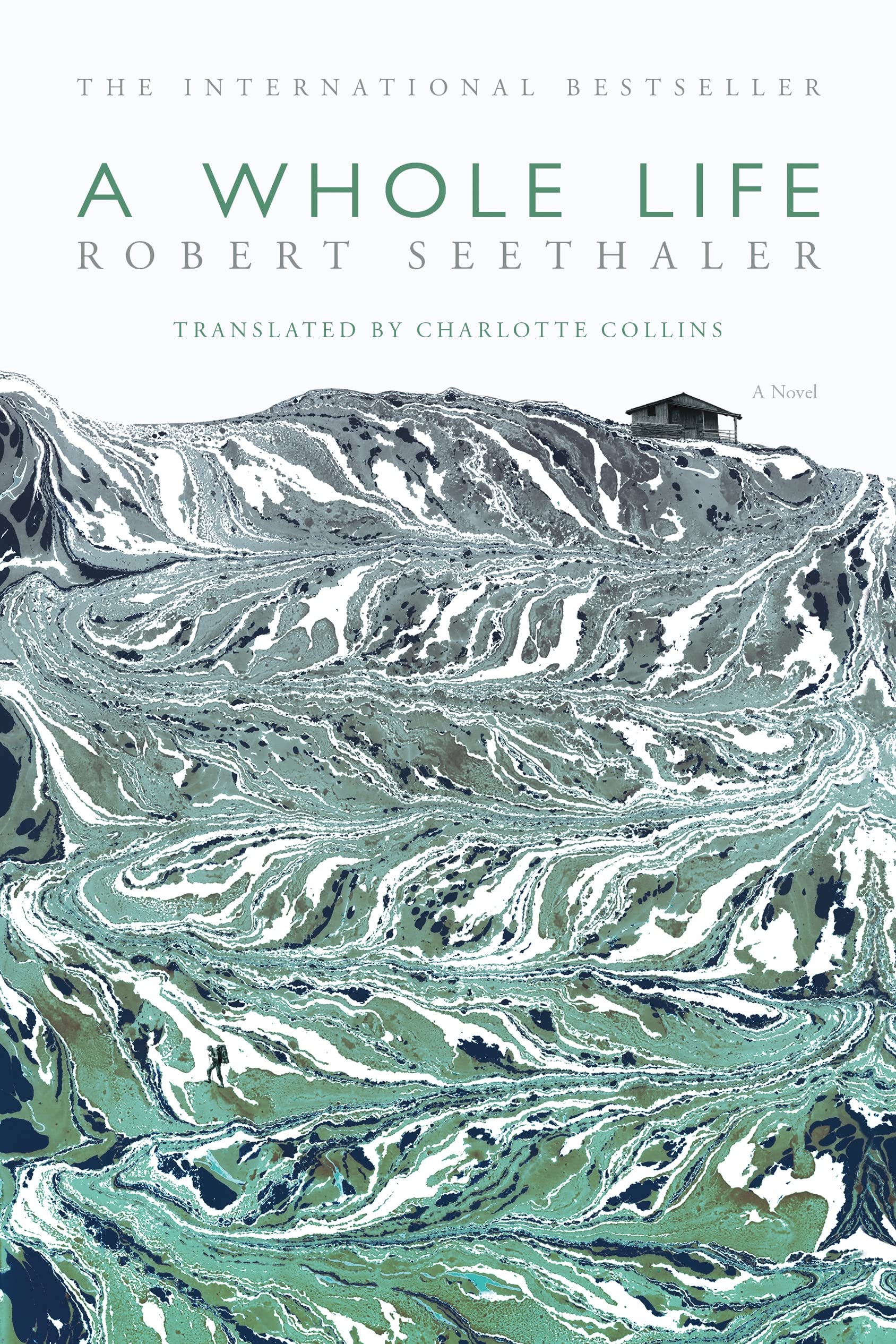 A Whole Life: A Novel,Used