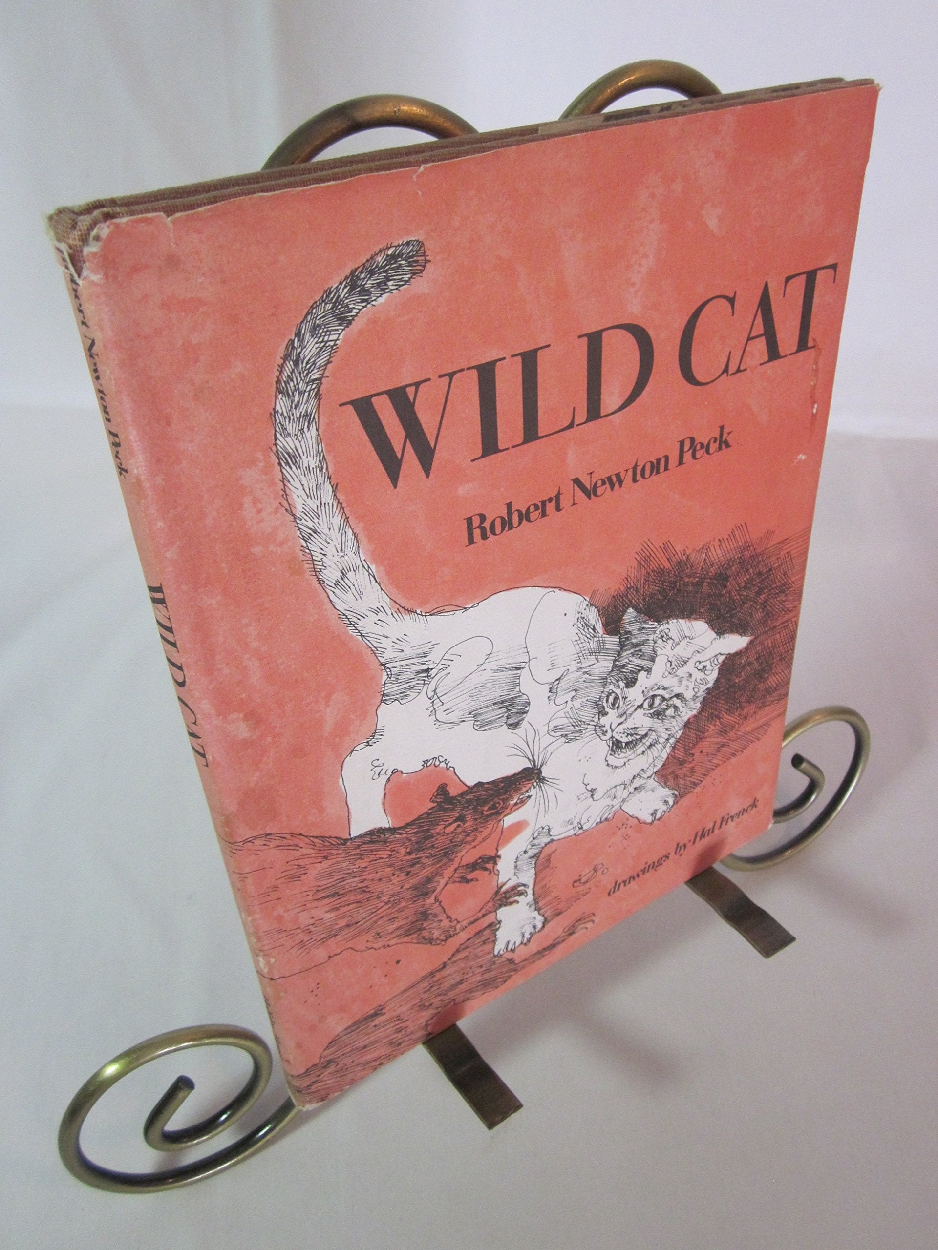 Wild Cat