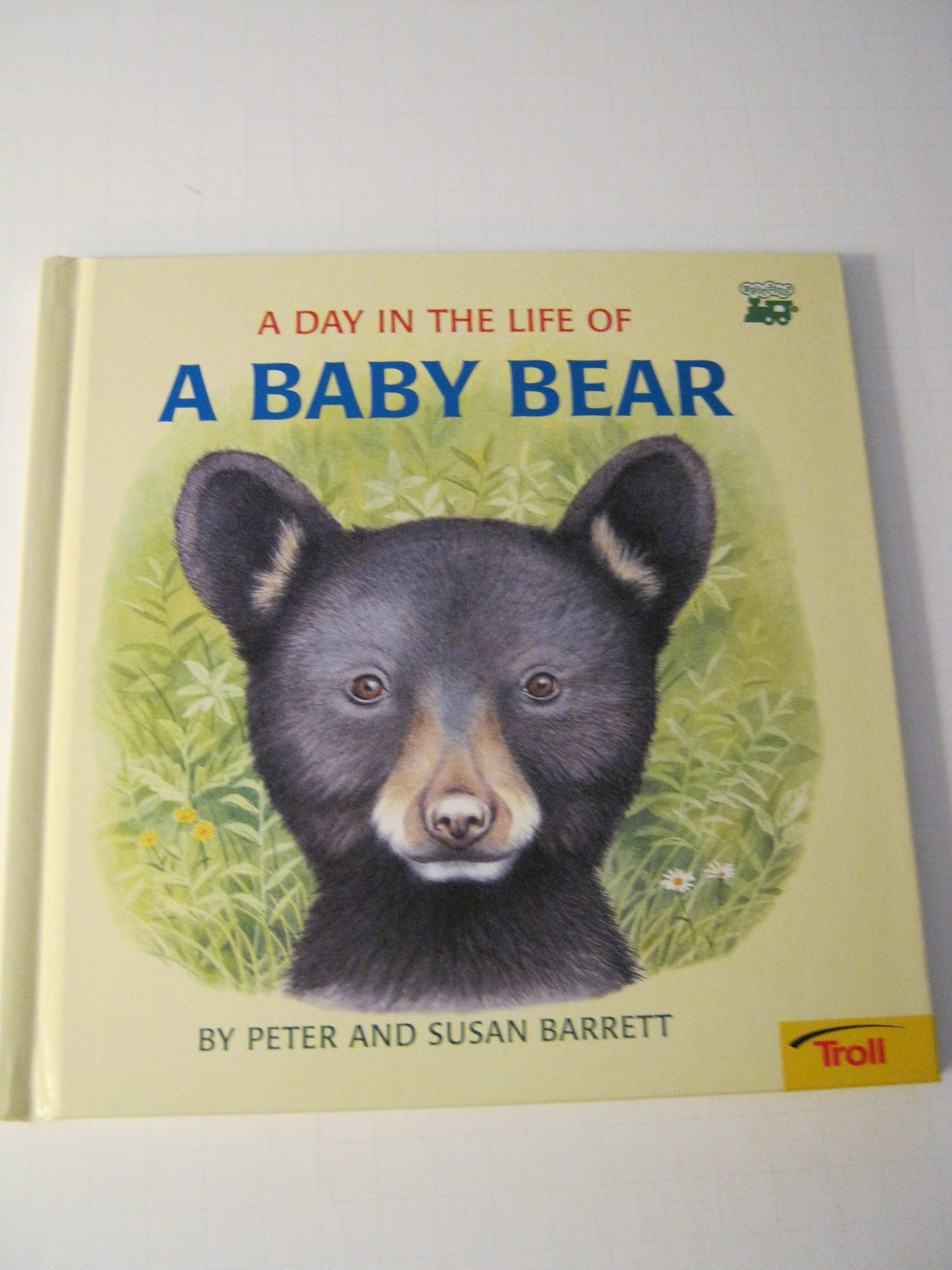 A Day in the Life of a Baby Bear: The Cub's First Swim,Used