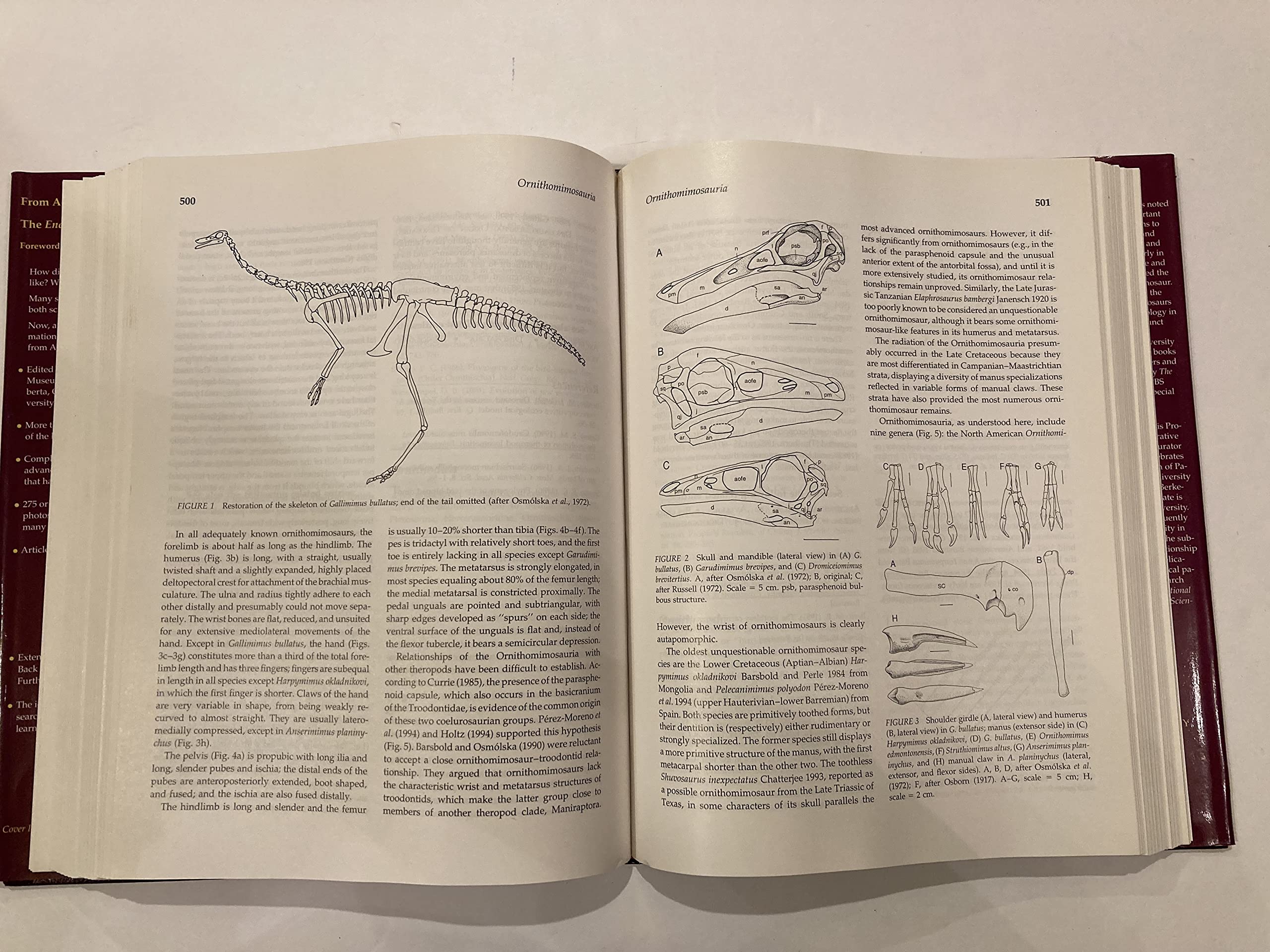 Encyclopedia of Dinosaurs,Used