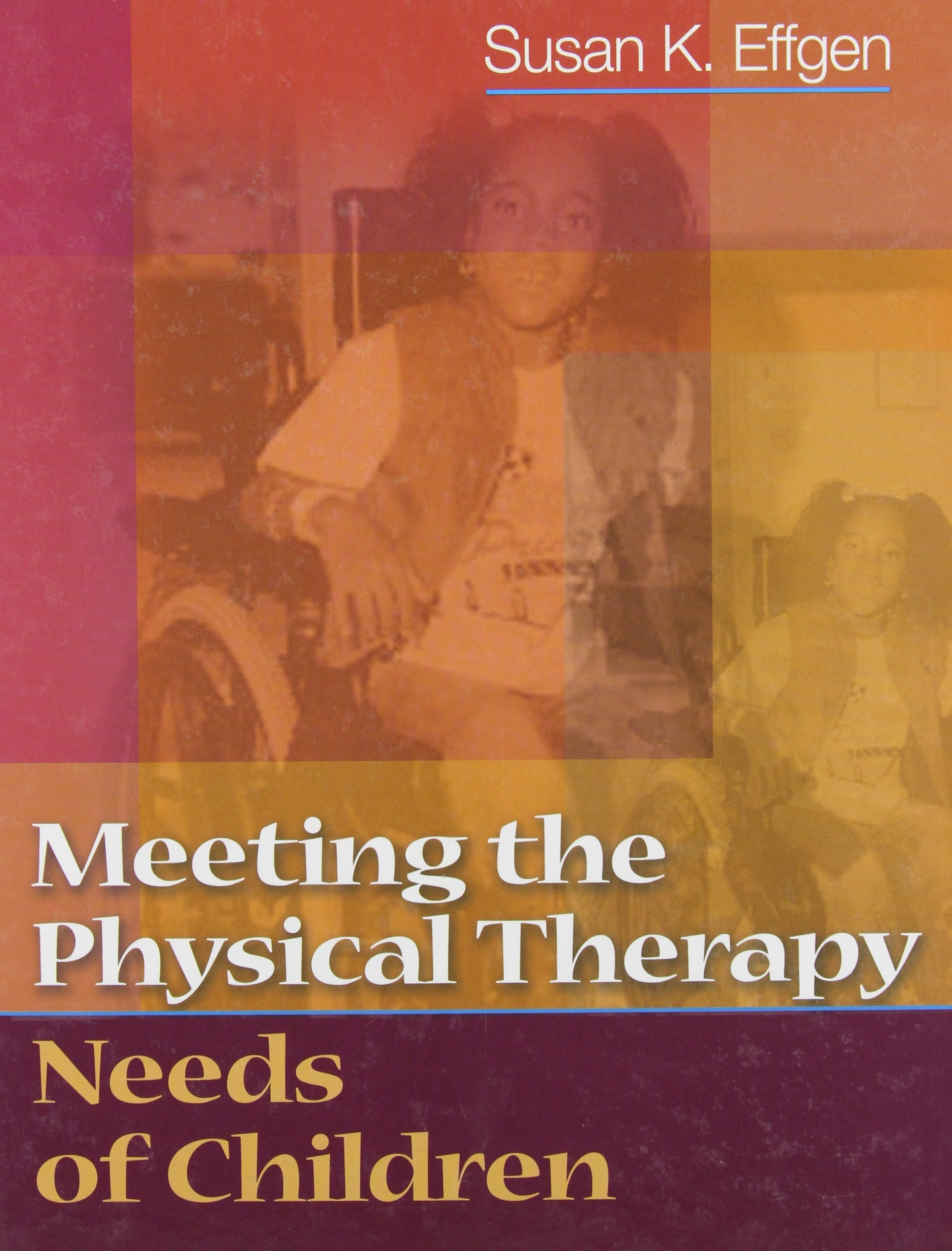 Meeting The Physical Therapy Needs Of Children,Used