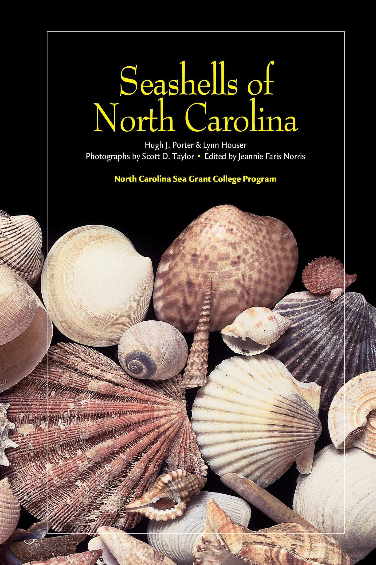 Seashells Of North Carolina,New