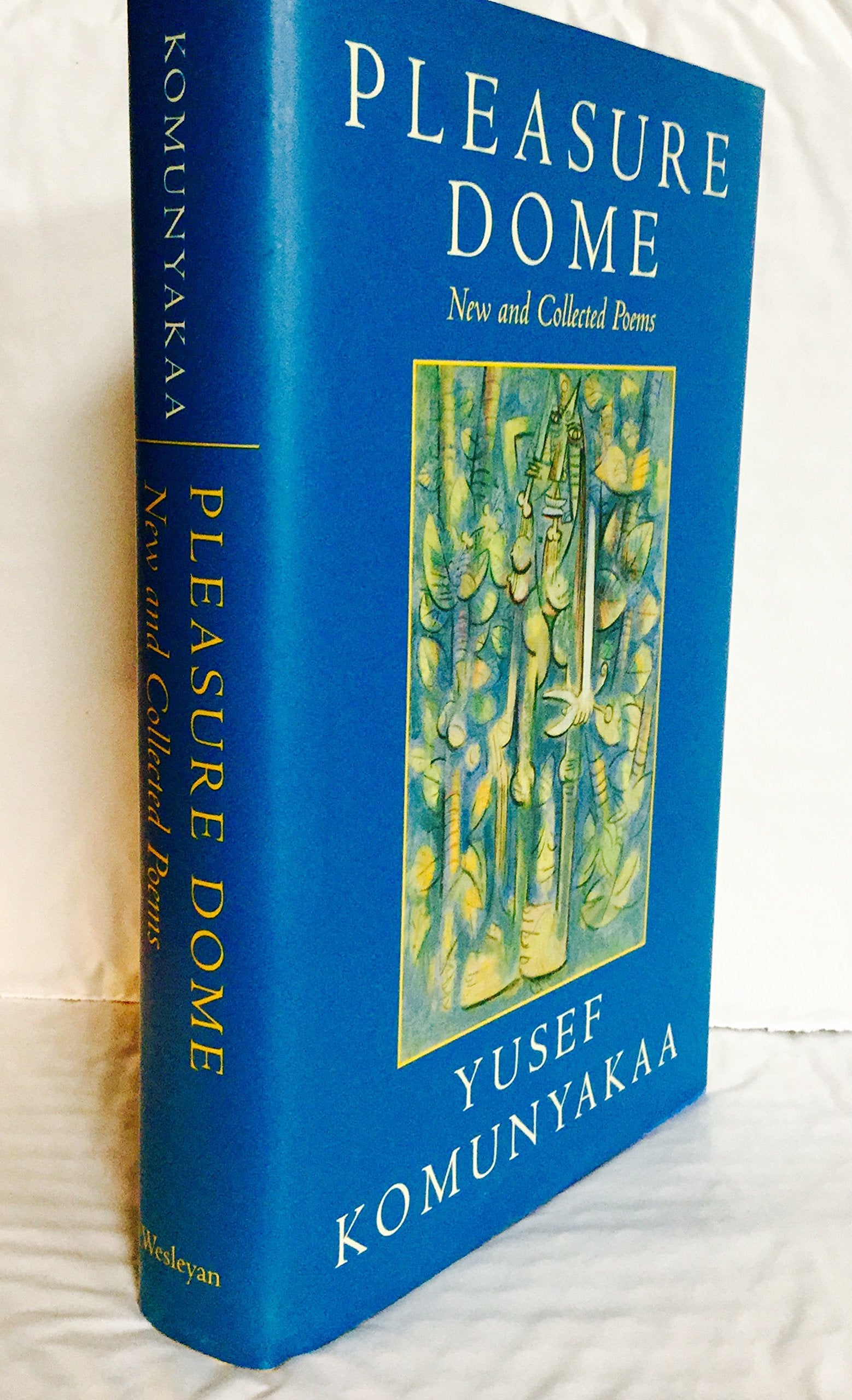 Pleasure Dome: New And Collected Poems (Wesleyan Poetry Series),Used