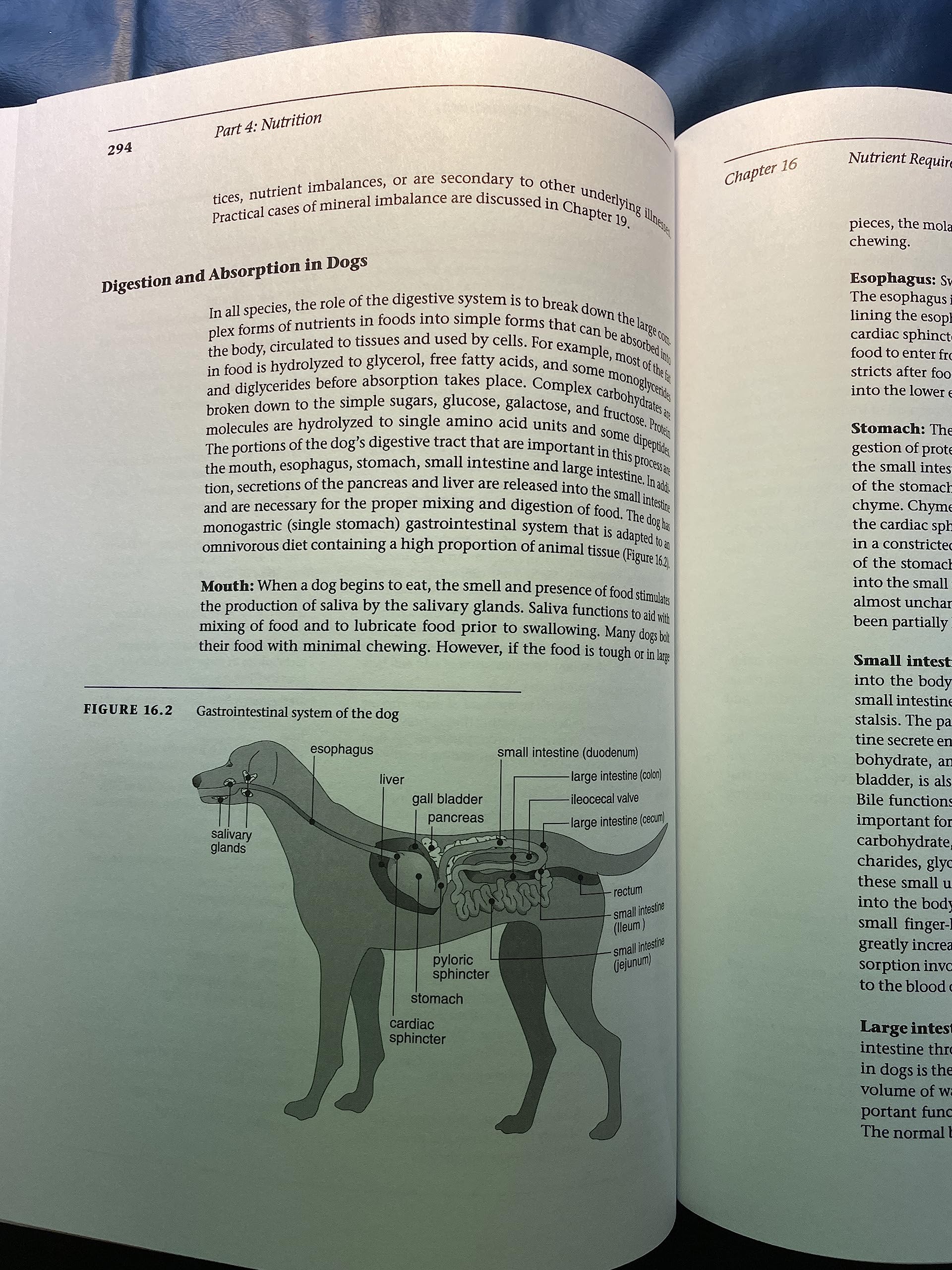 The Dog: Its Behaviour, Nutrition And Health,Used