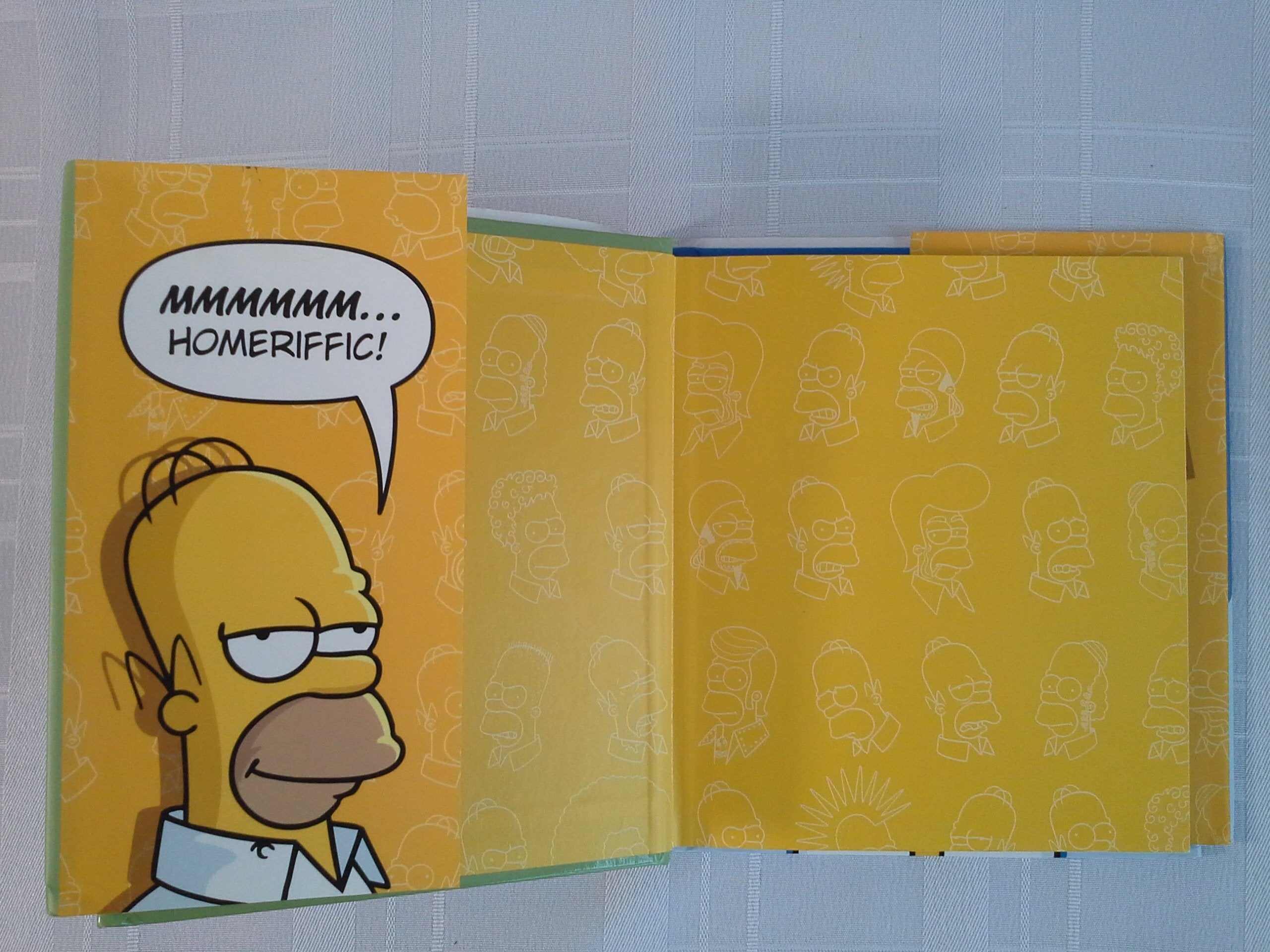 The Homer Book (Simpsons Library of Wisdom),Used