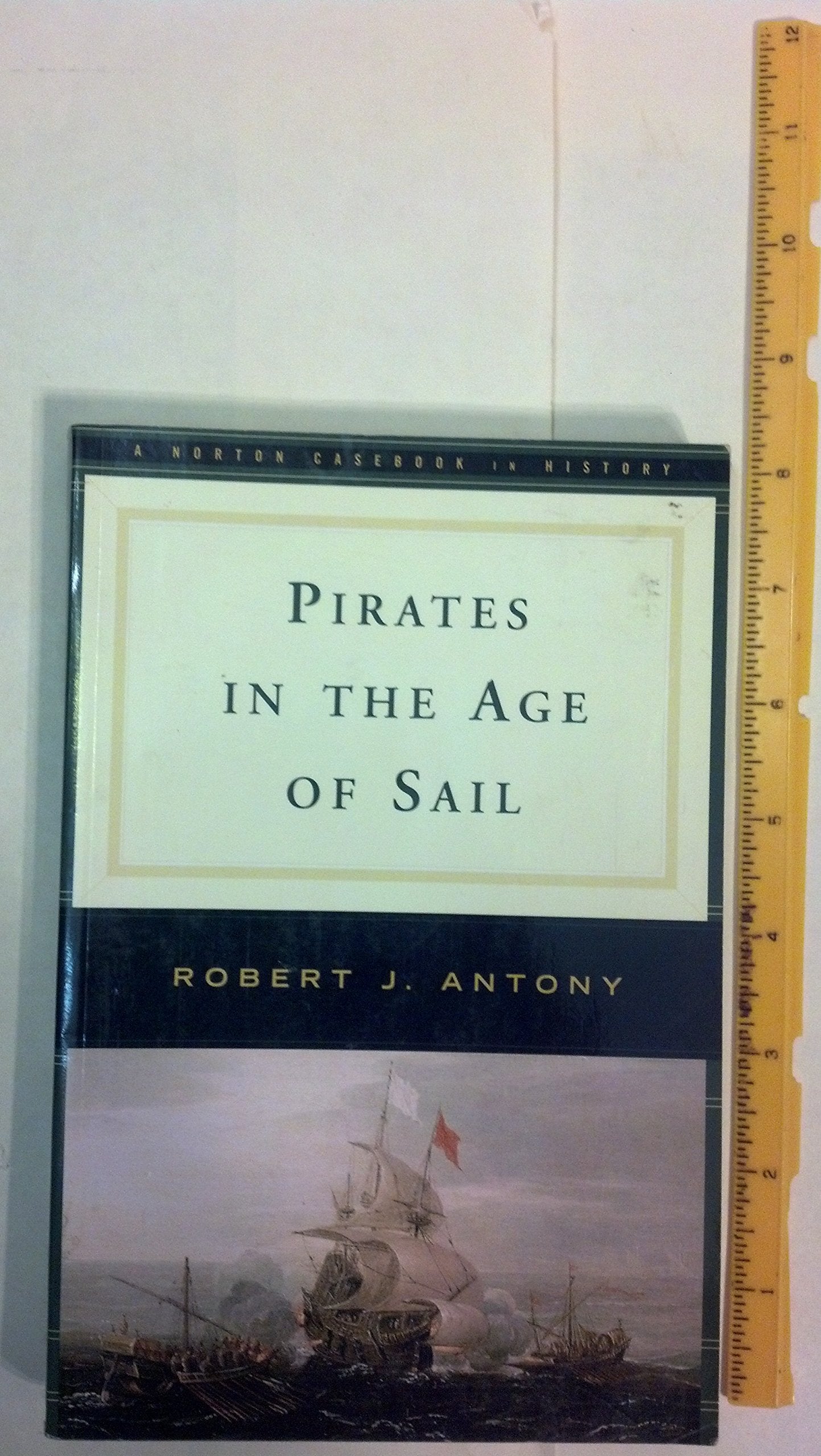 Pirates In The Age Of Sail (Norton Documents Reader)