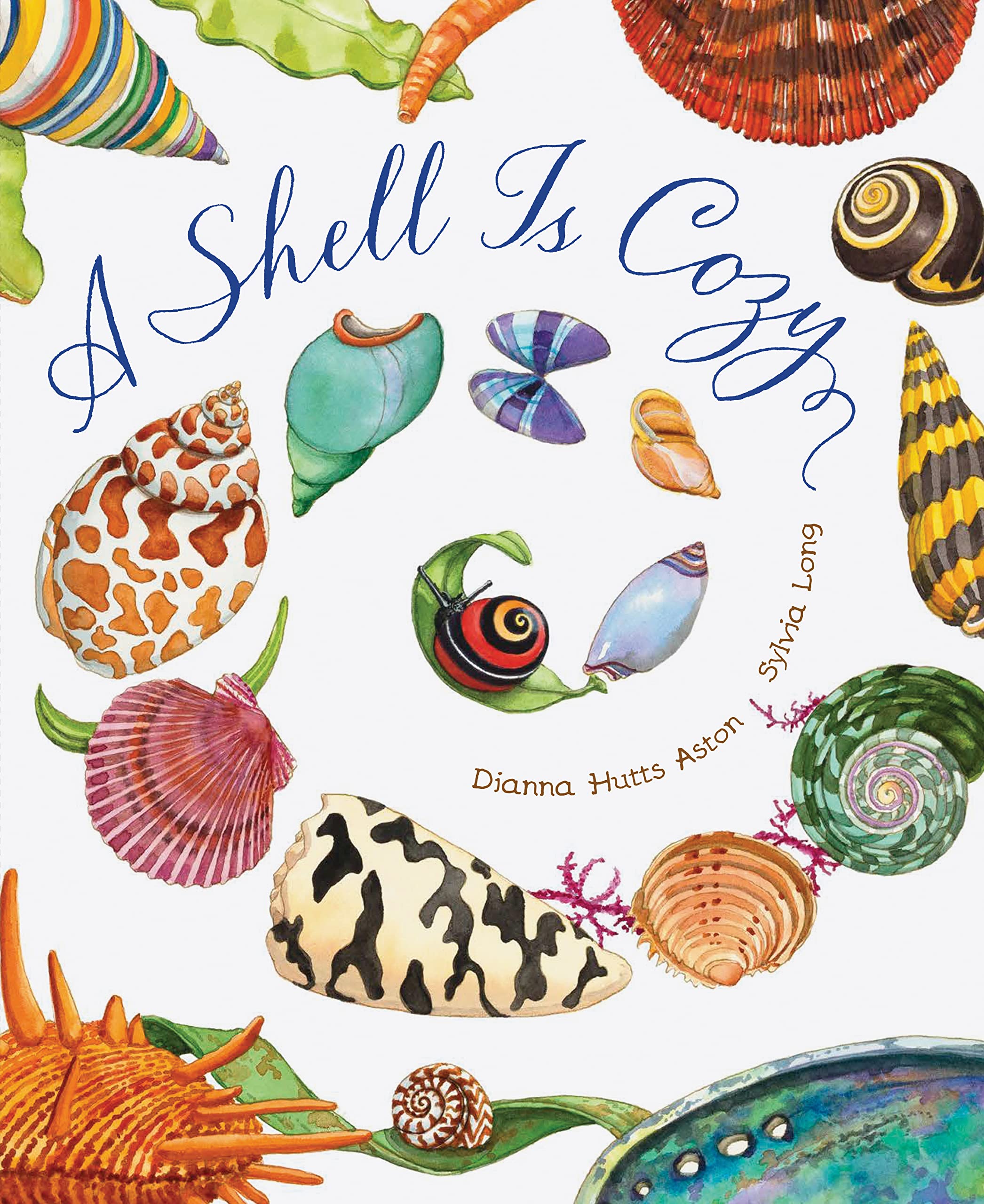 A Shell Is Cozy,New