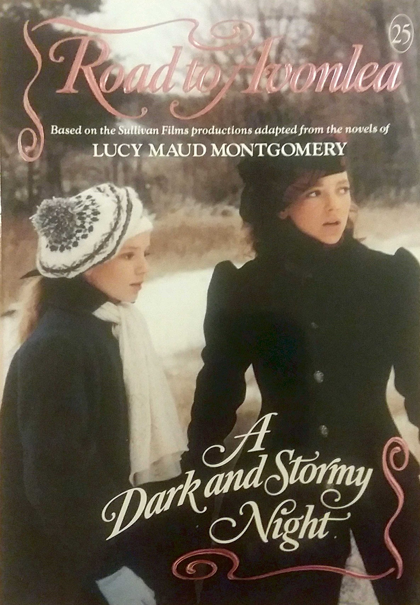 A Dark and Stormy Night (Road to Avonlea, No 25),Used