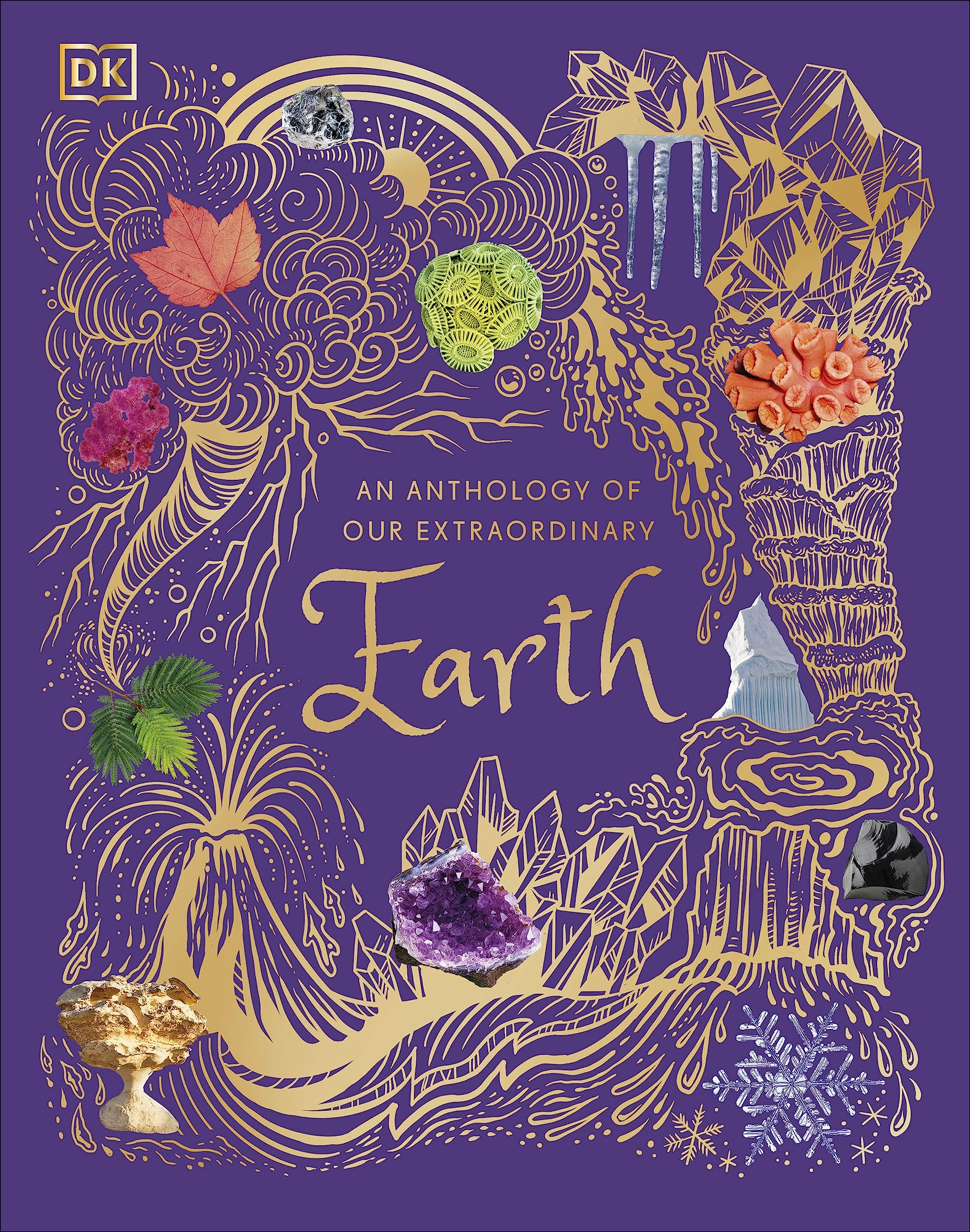 An Anthology Of Our Extraordinary Earth (Dk Children'S Anthologies),Used