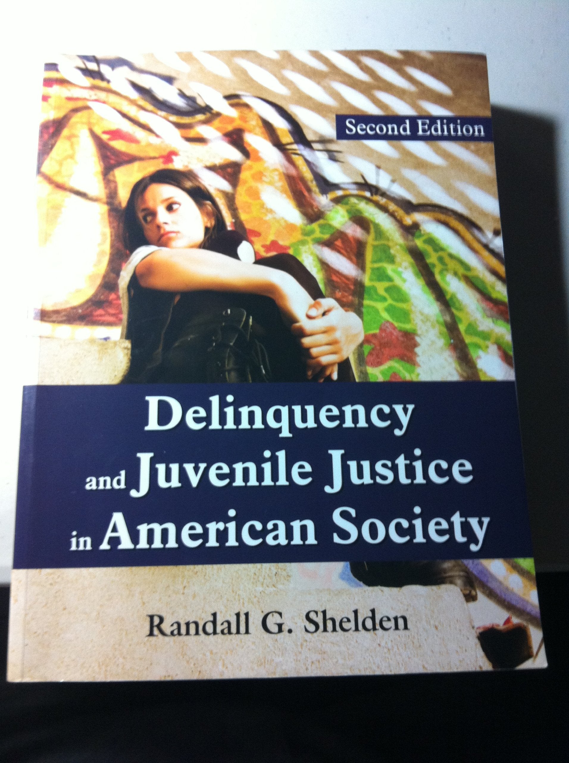 Delinquency and Juvenile Justice in American Society,New