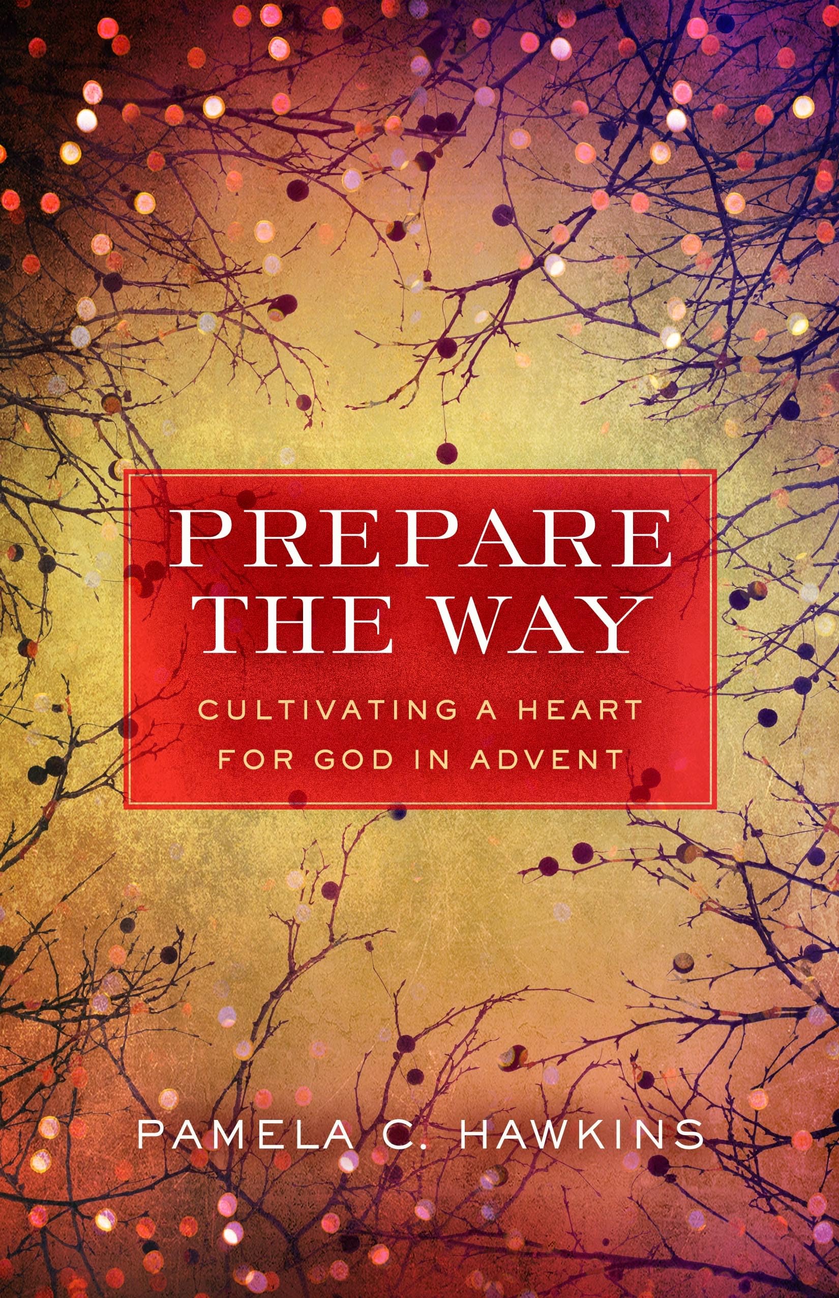 Prepare the Way: Cultivating a Heart for God in Advent,Used