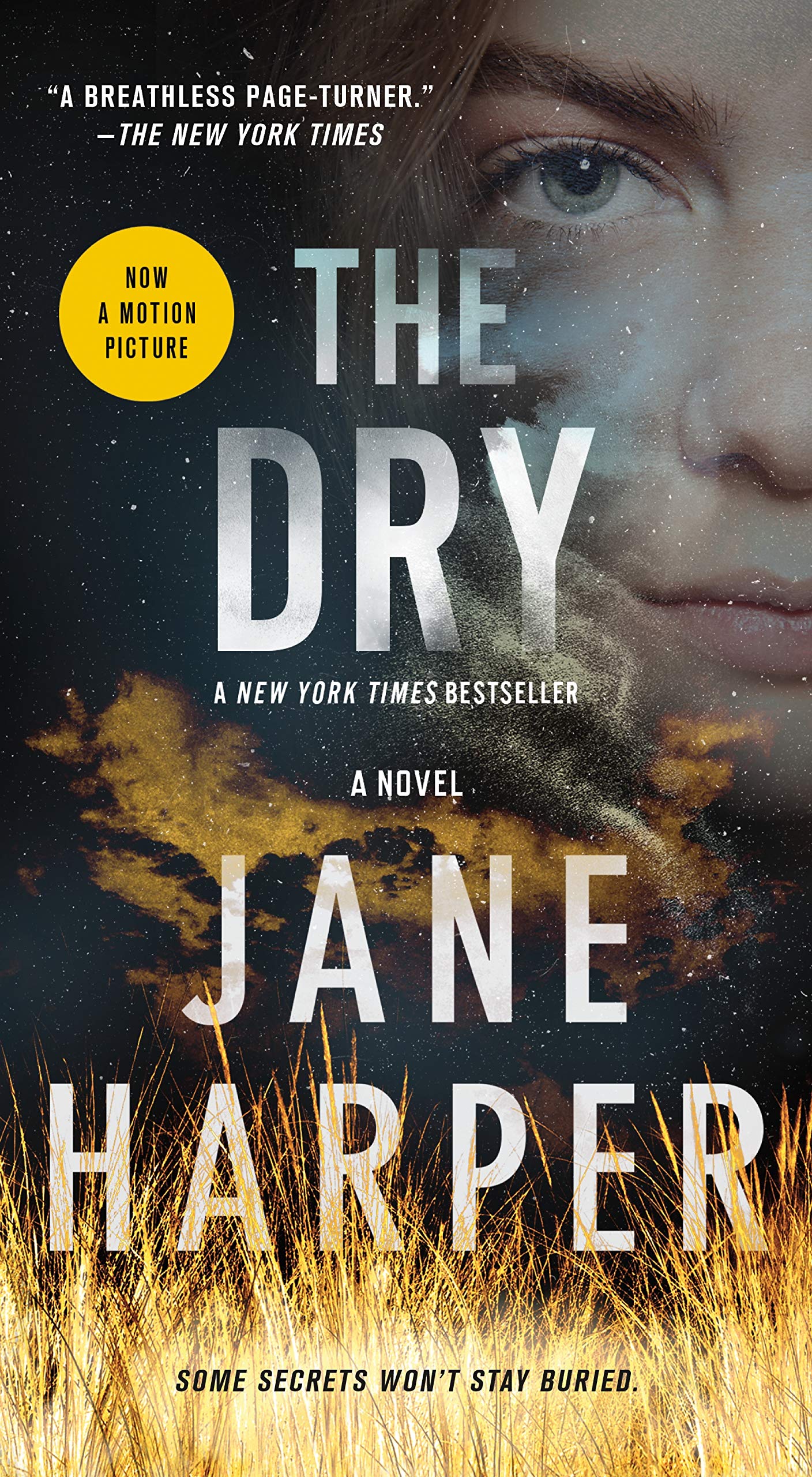 The Dry: A Novel,Used