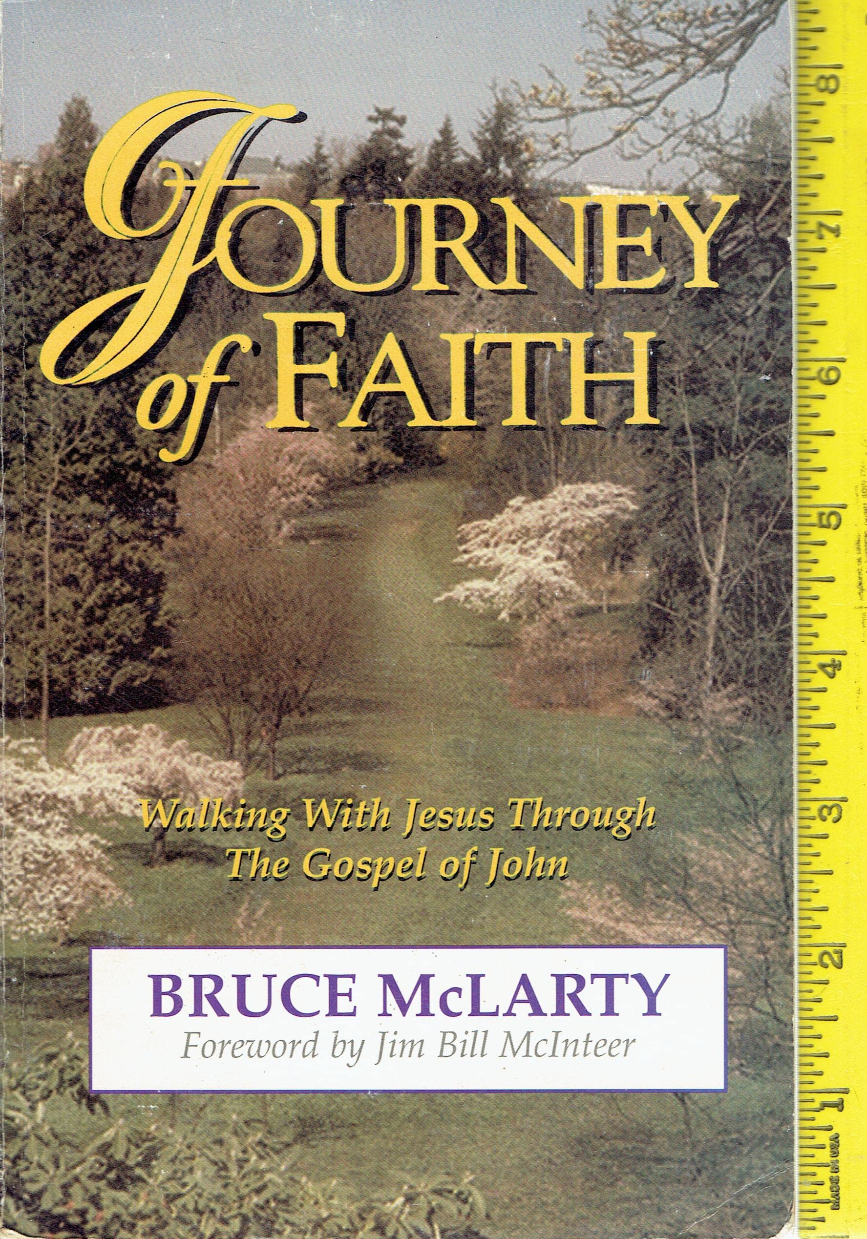Journey Of Faith: Walking With Jesus Through The Gospel Of John