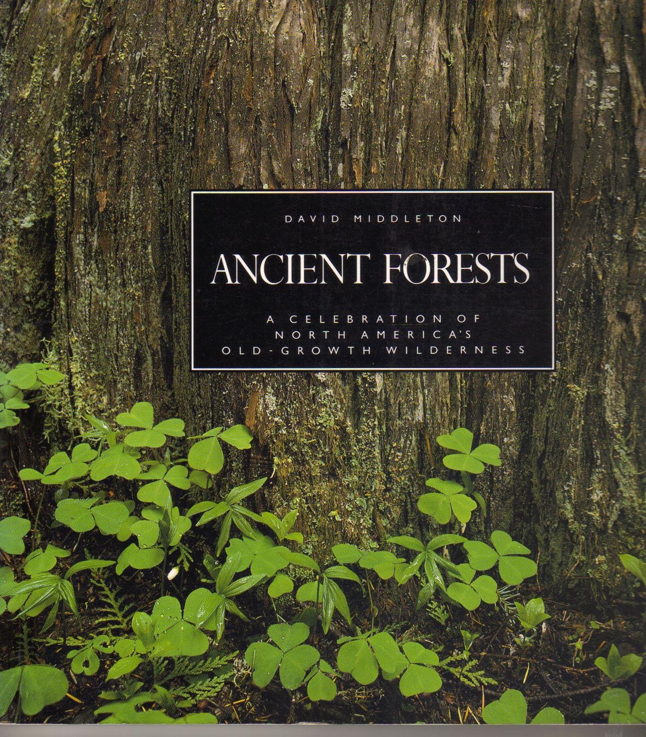 Ancient Forests
