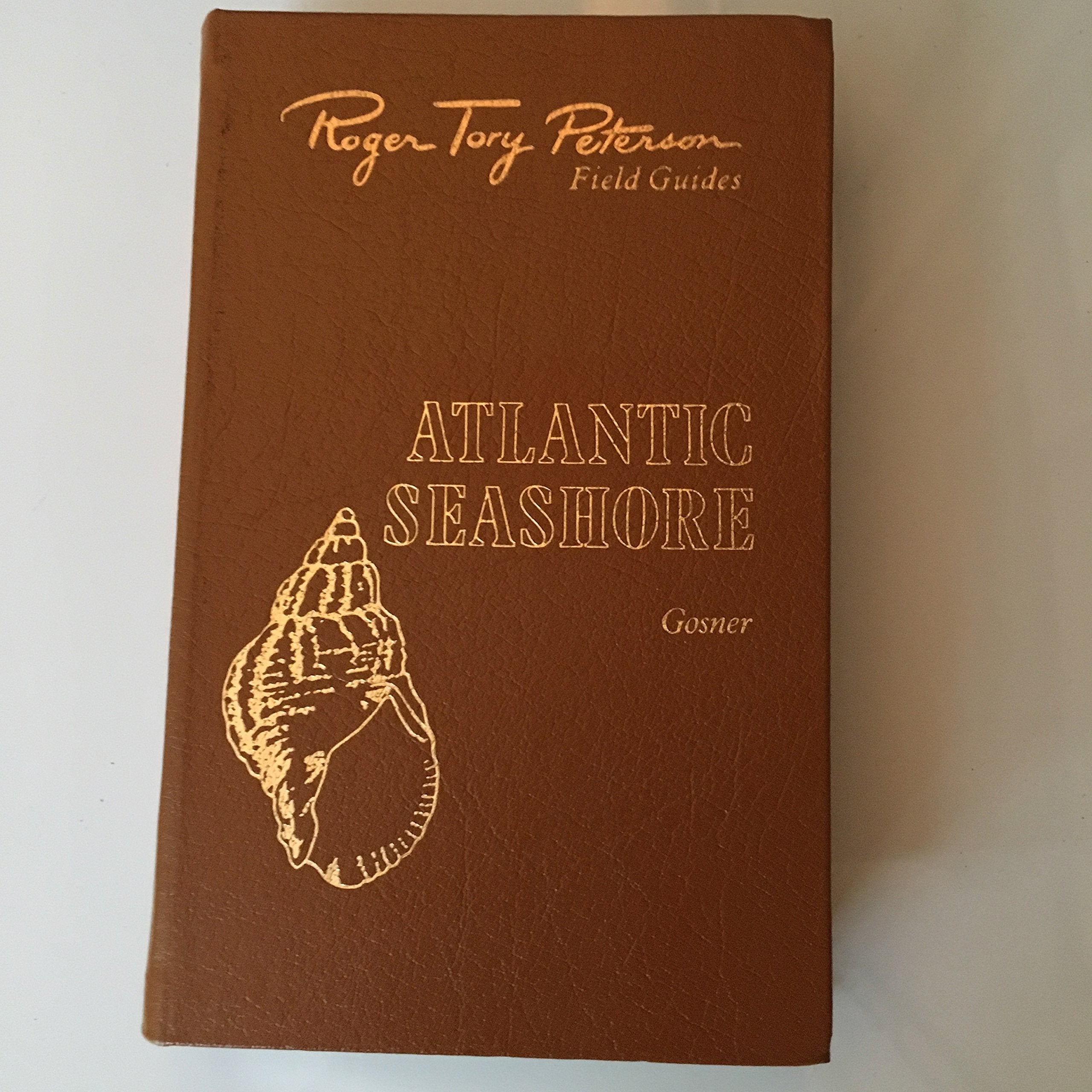 A Field Guide To The Atlantic Seashore: From The Bay Of Fundy To Cape Hatteras (Peterson Field Guide),Used