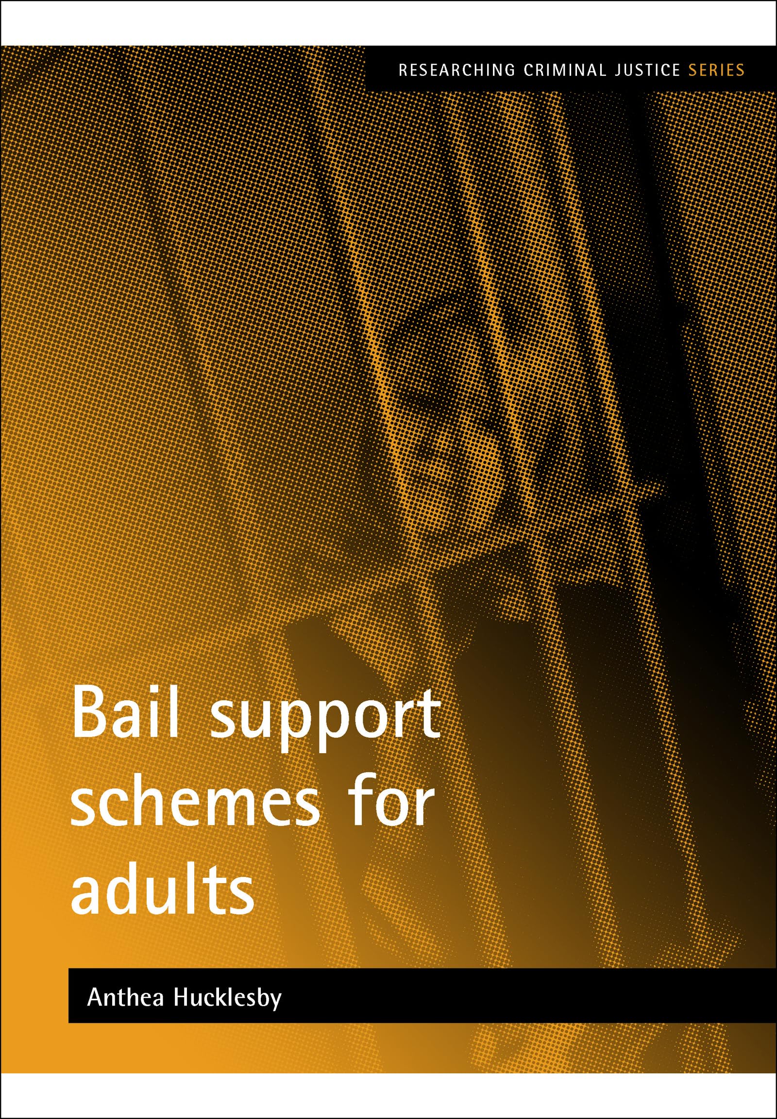 Bail support schemes for adults (Researching Criminal Justice),Used
