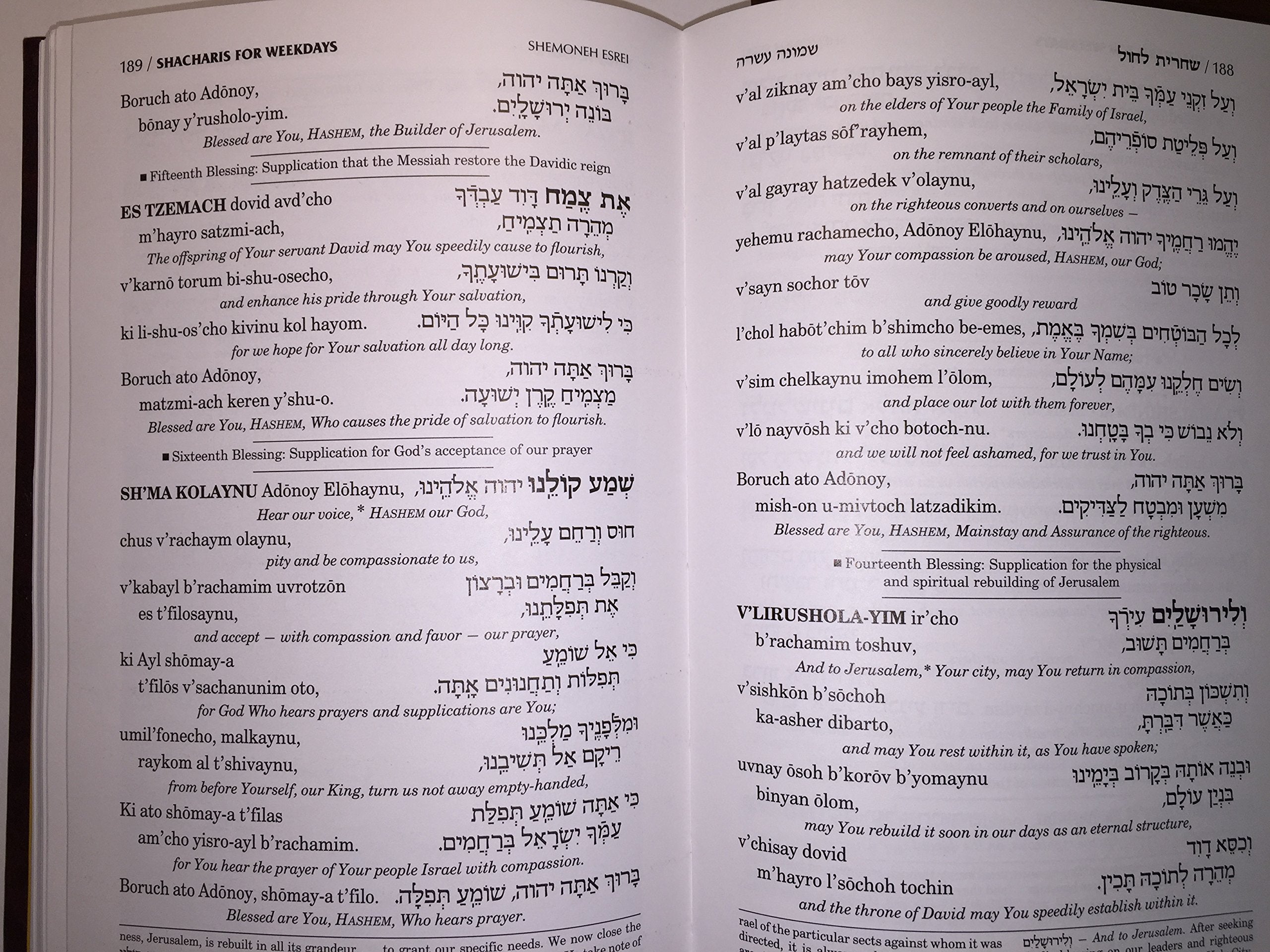Siddur: ArtScroll Transliterated Linear : Weekday,New