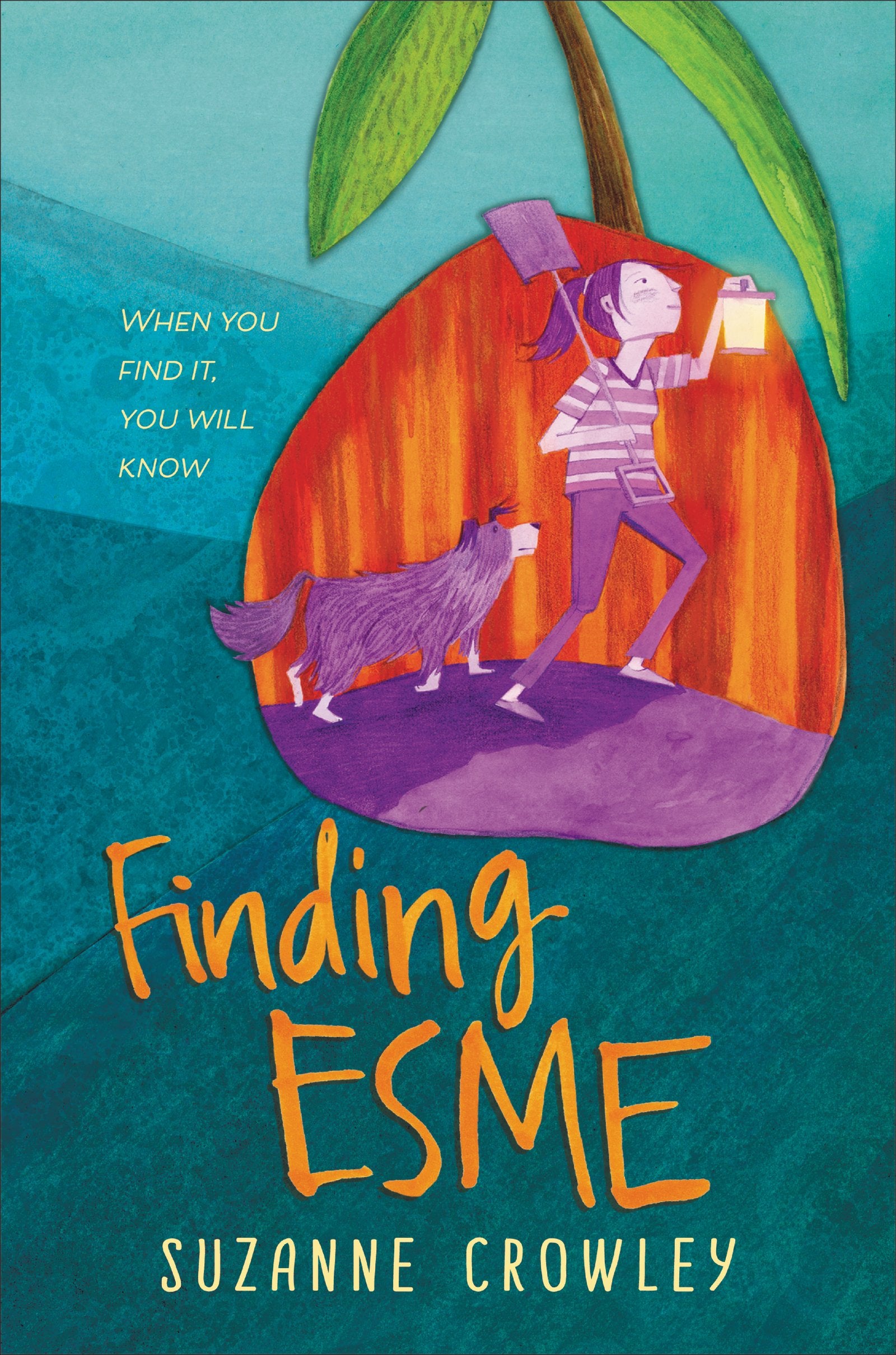 Finding Esme,Used