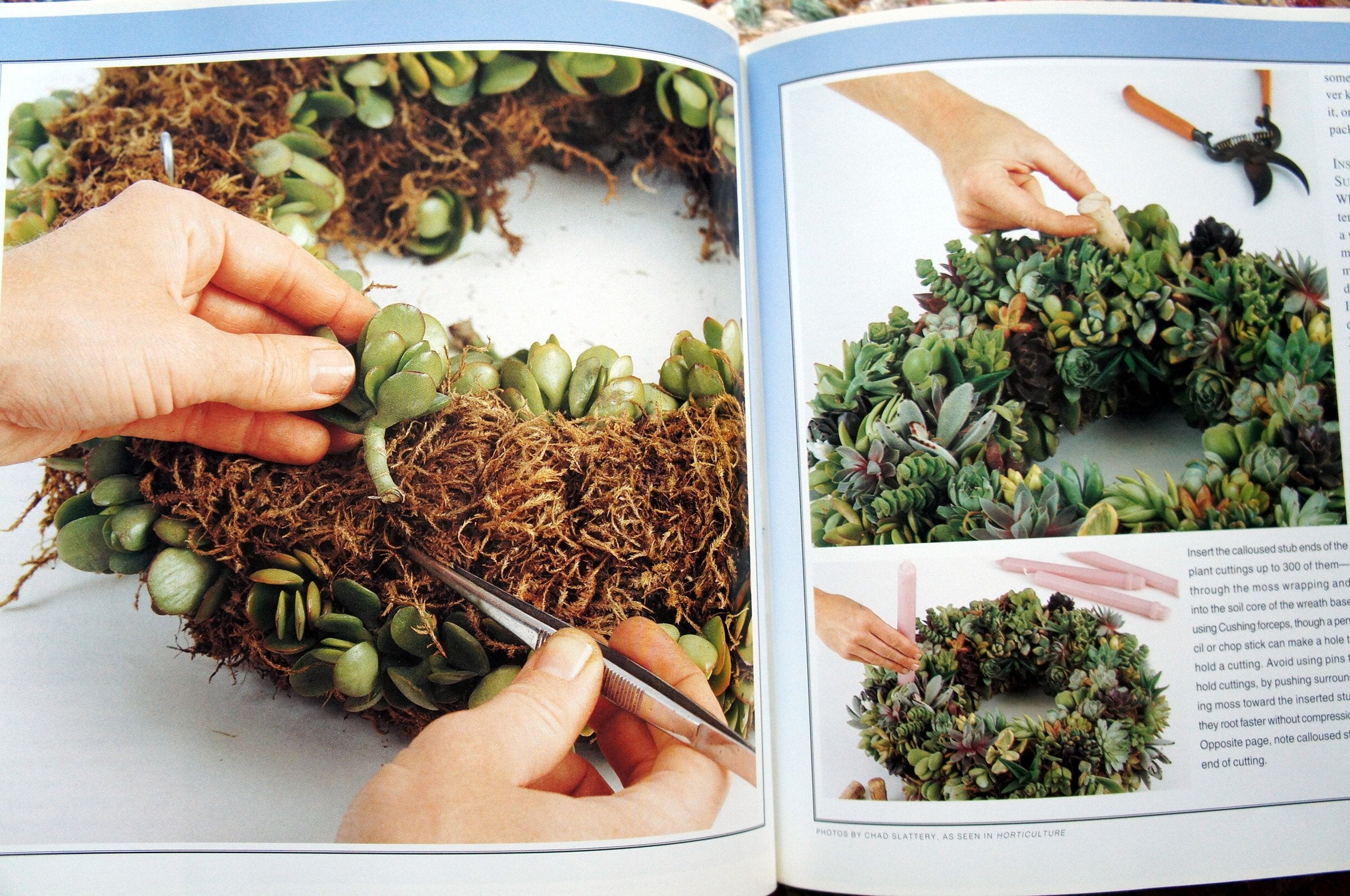 Living Wreath, The,New