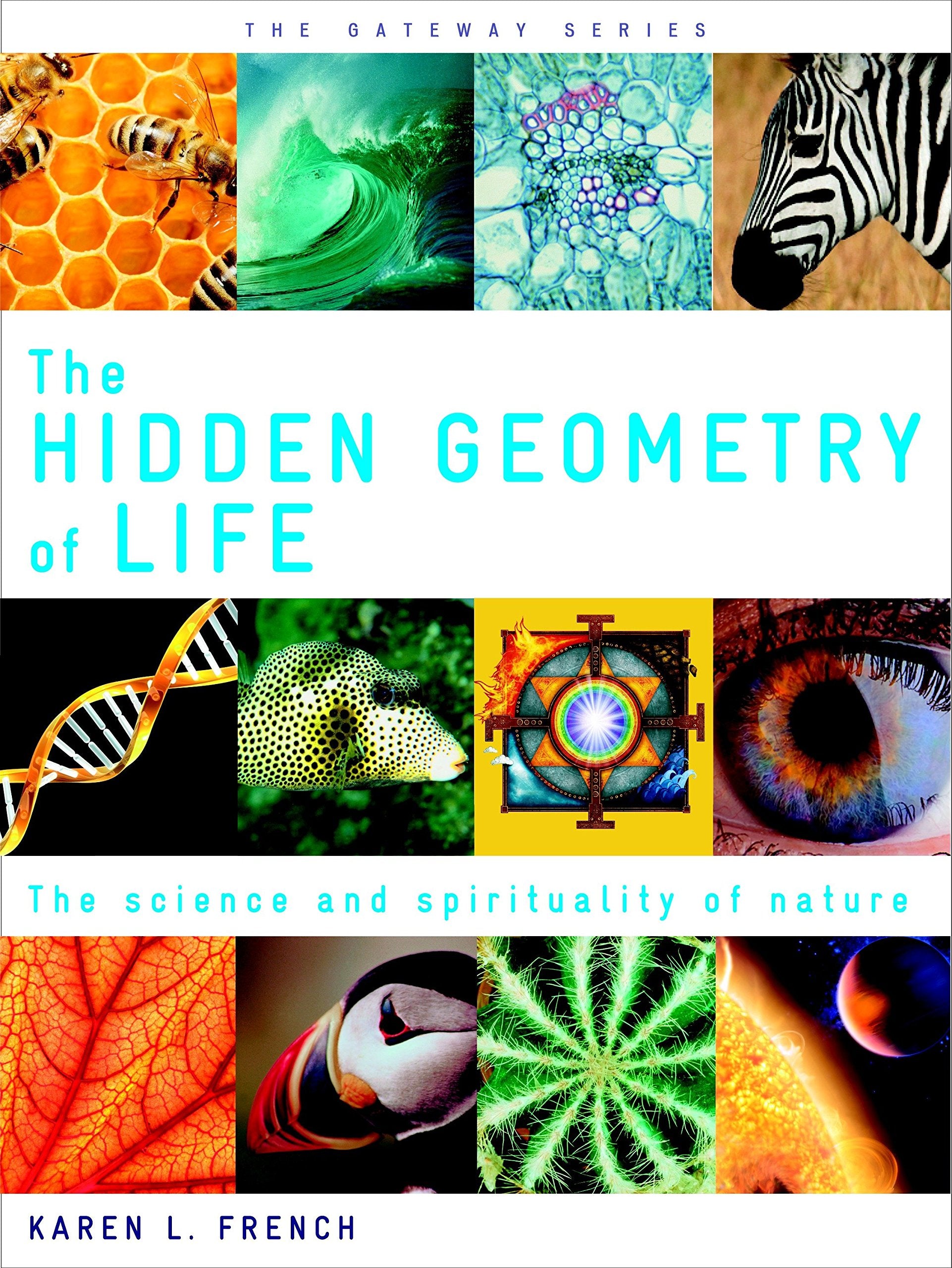 The Hidden Geometry Of Life: The Science And Spirituality Of Nature (Gateway)
