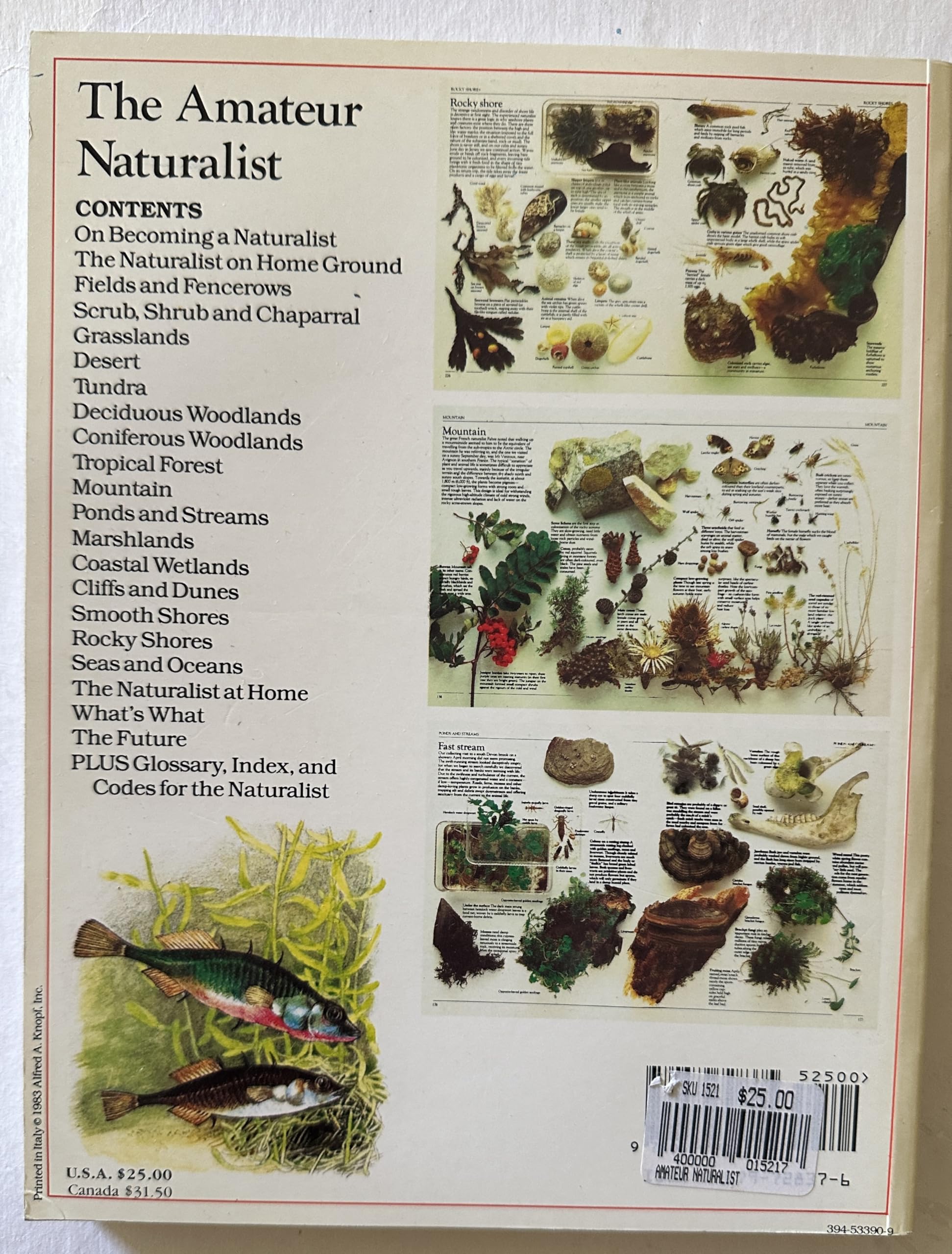 The Amateur Naturalist,New