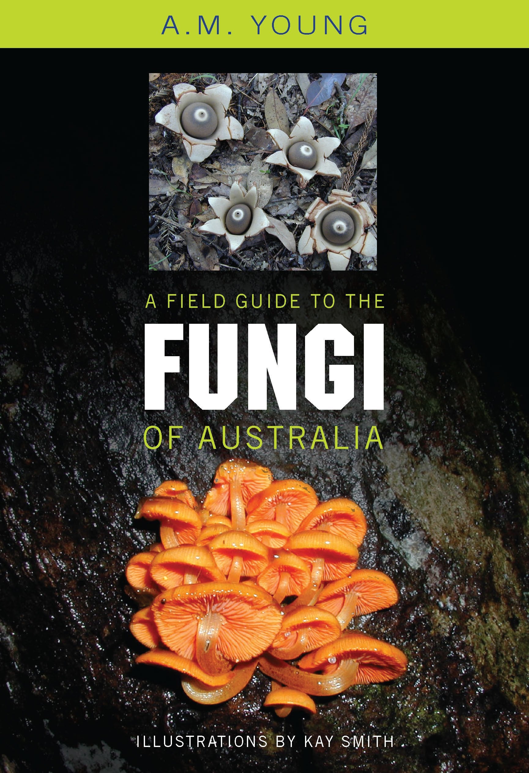 A Field Guide to the Fungi of Australia,Used