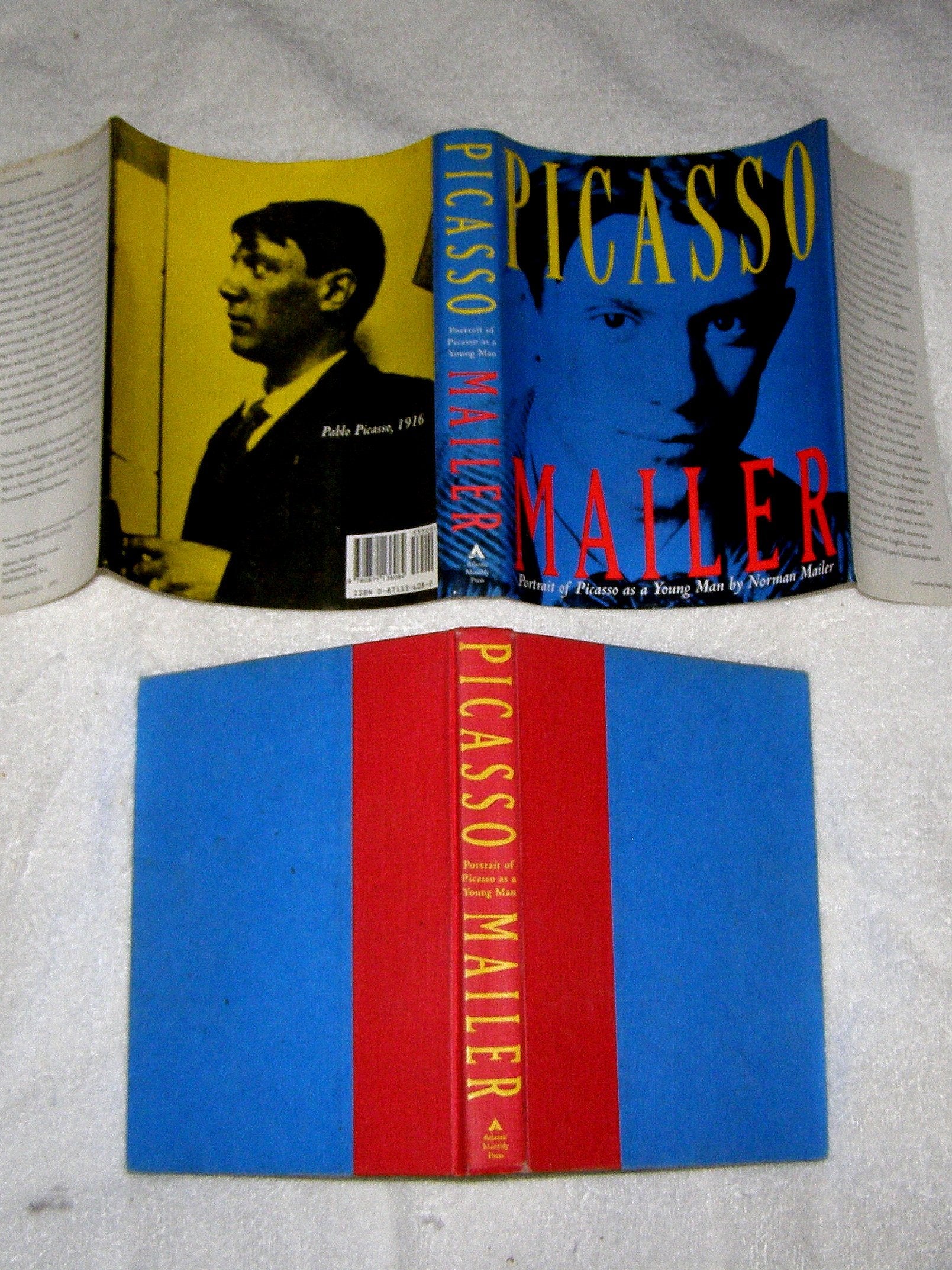 Portrait of Picasso as a Young Man: An Interpretive Biography,Used