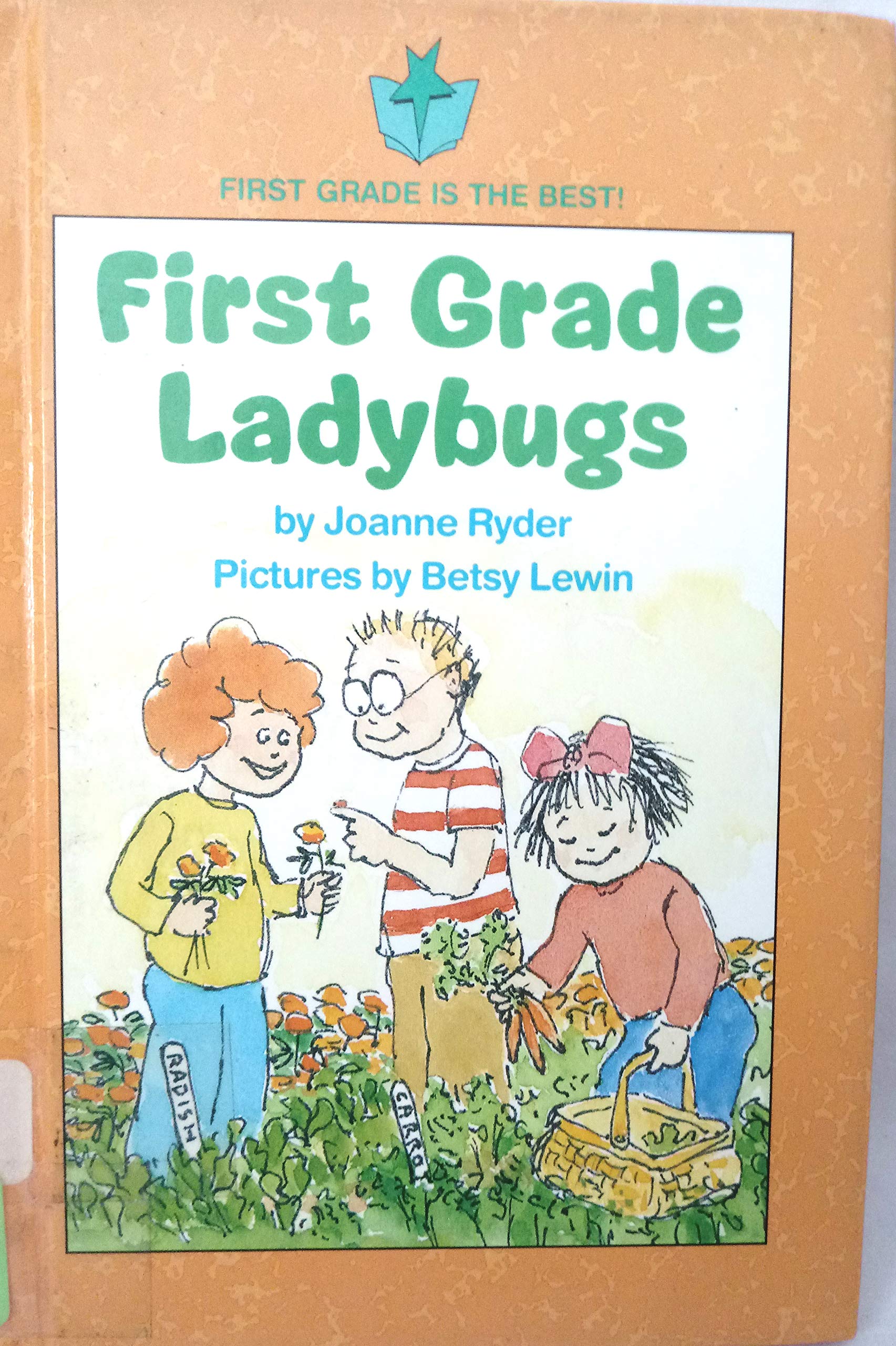 First Grade Ladybugs,Used