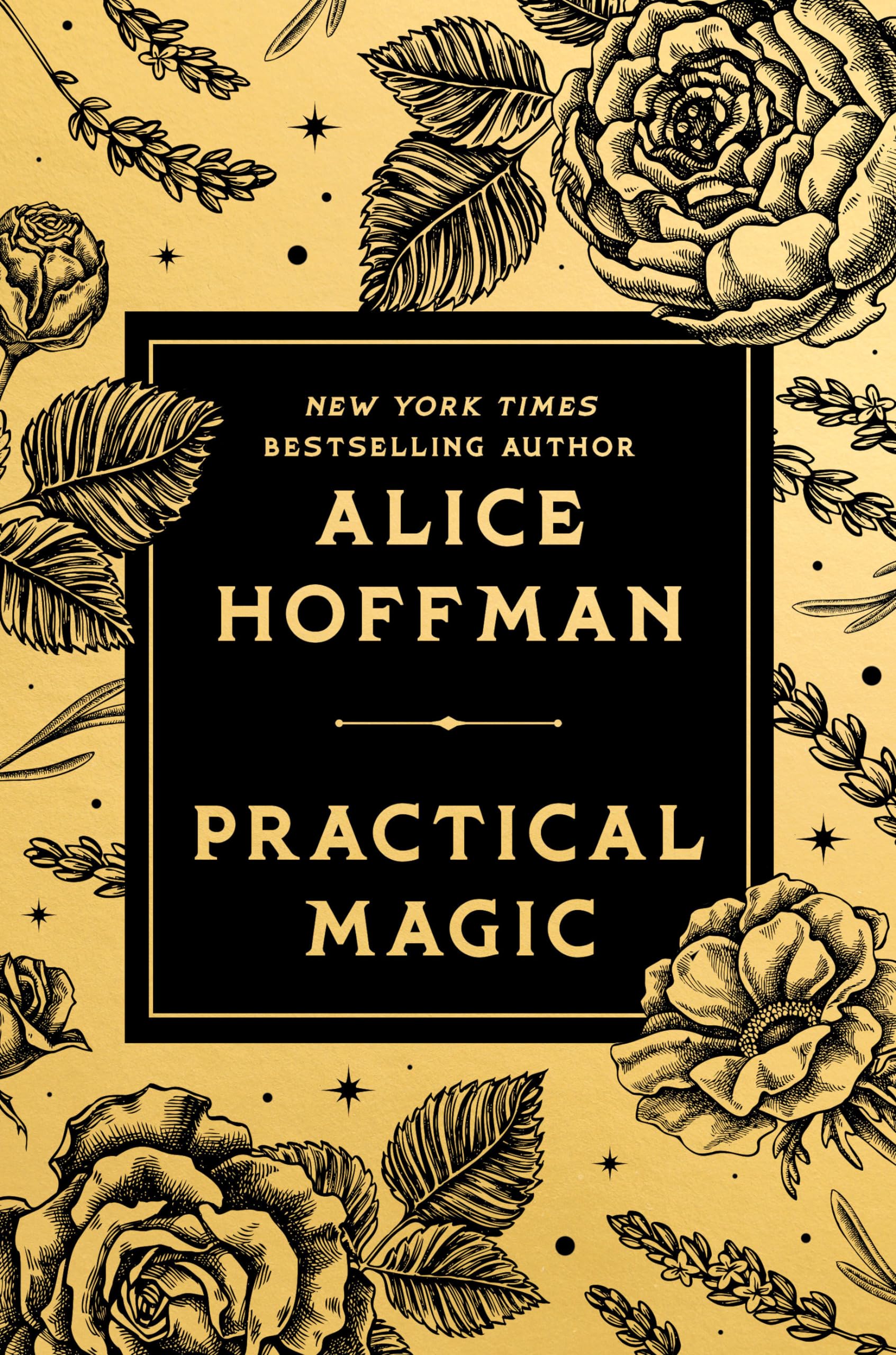 Practical Magic: Deluxe Edition,Used