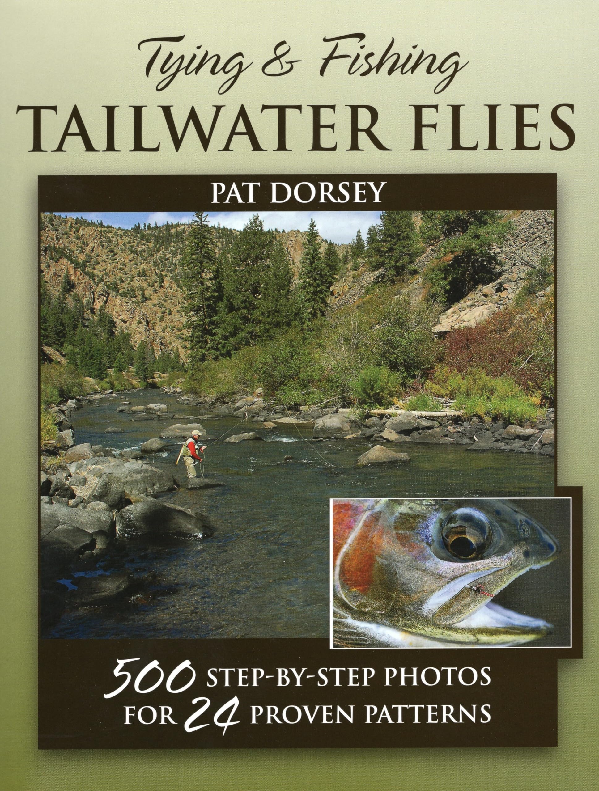 Tying & Fishing Tailwater Flies: 500 Stepbystep Photos For 24 Proven Patterns,Used