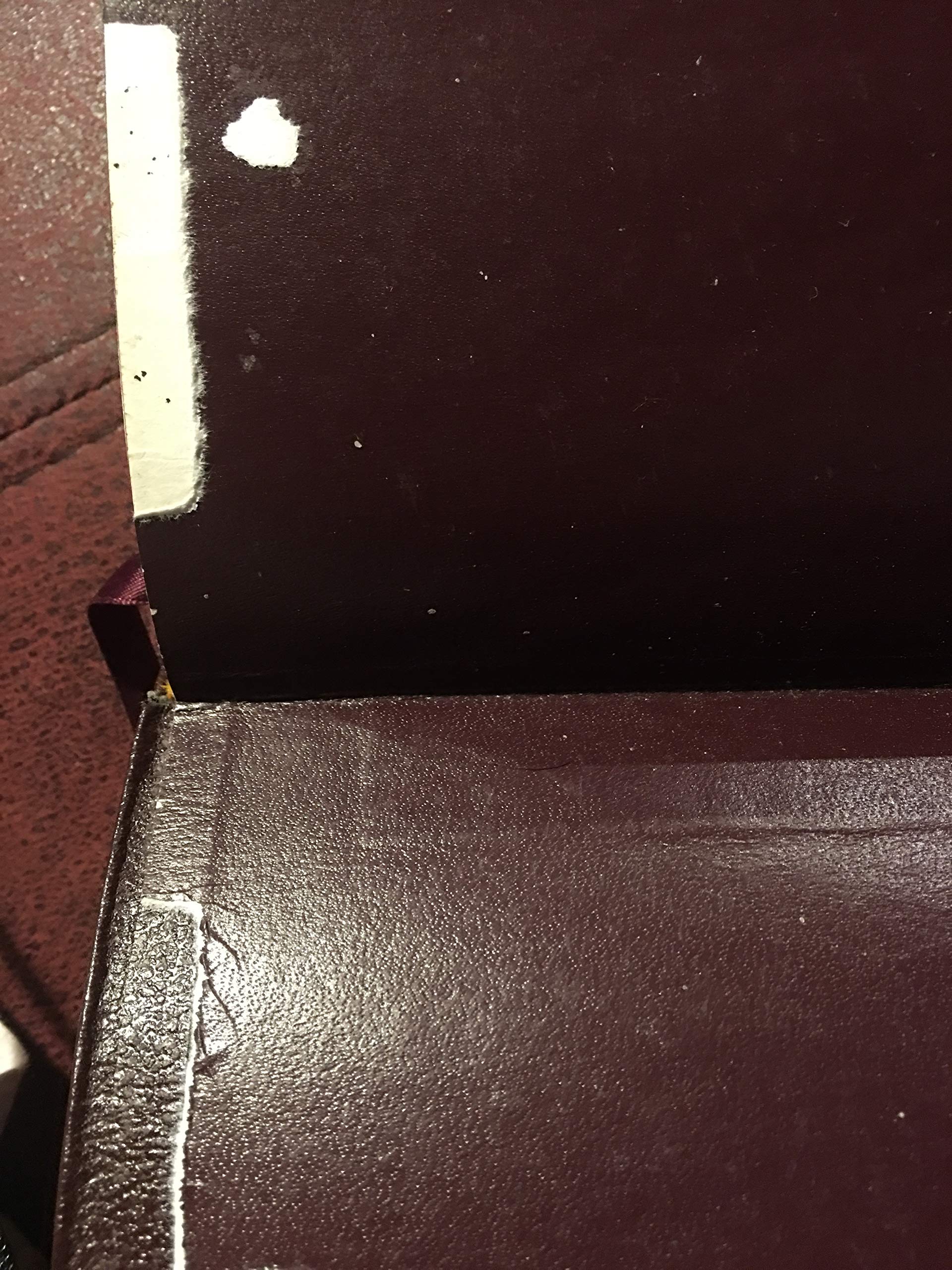 Amplified Bible, Large Print,New