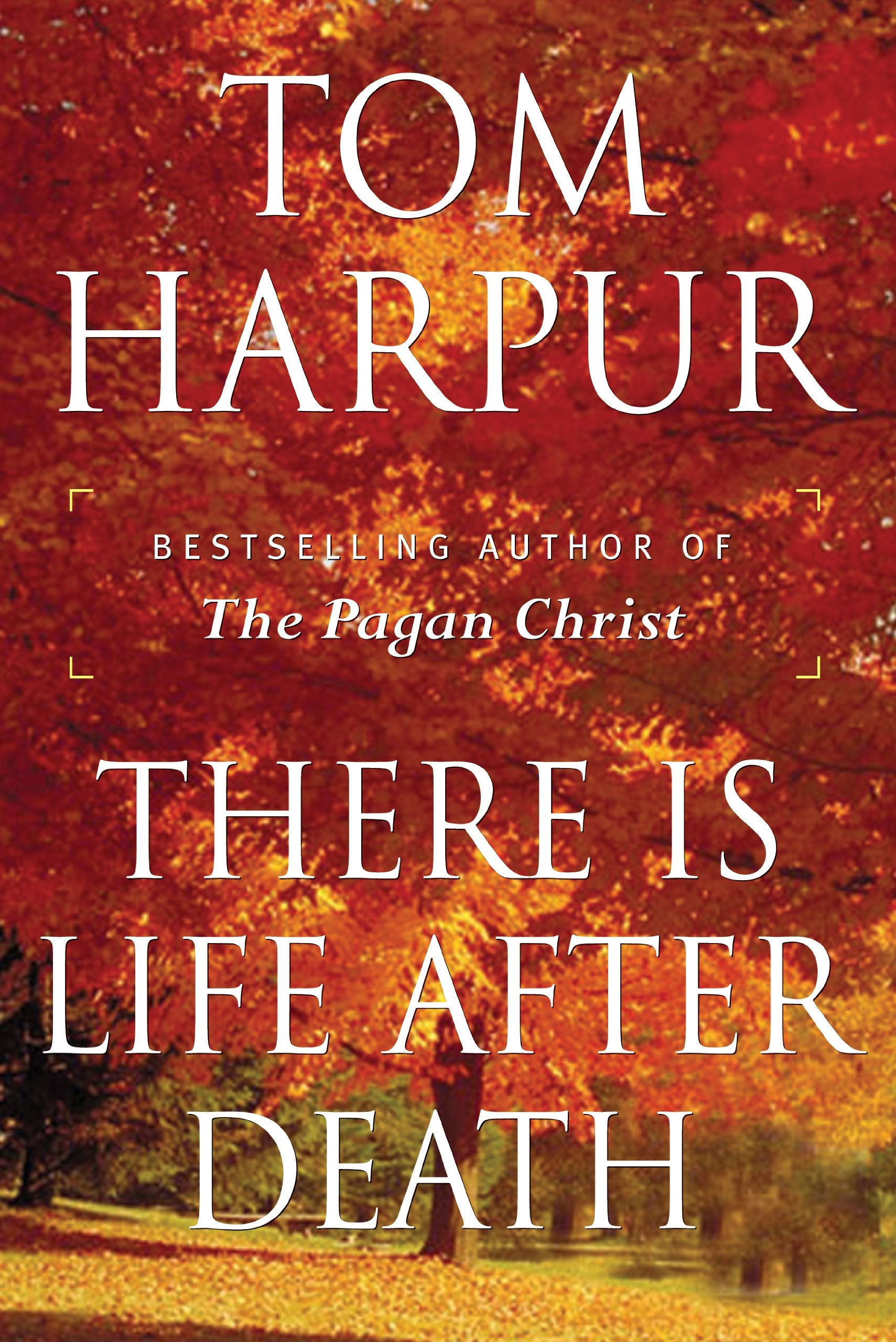 There Is Life After Death,Used