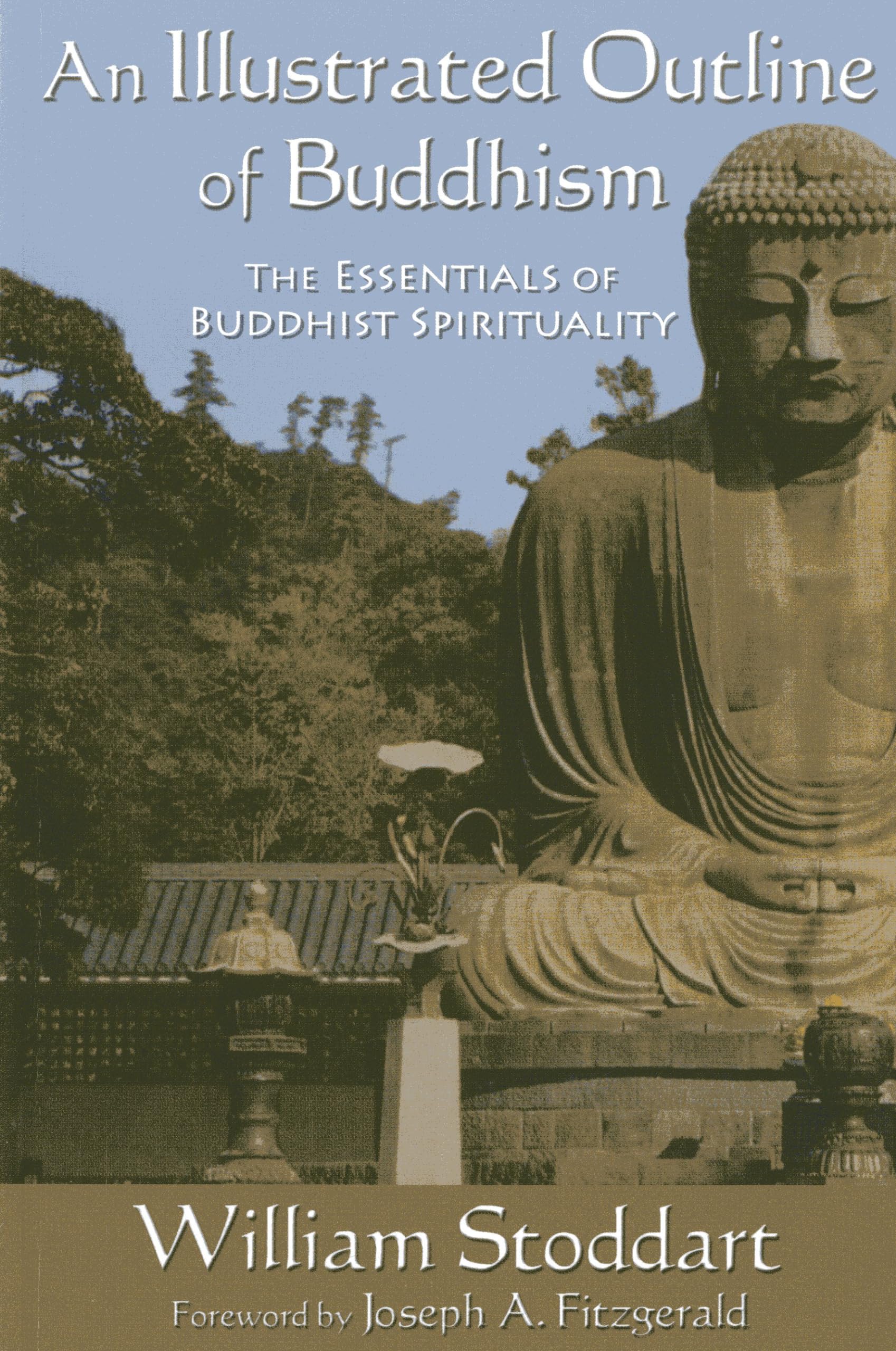 An Illustrated Outline of Buddhism: The Essentials of Buddhist Spirituality (Perennial Philosophy),Used