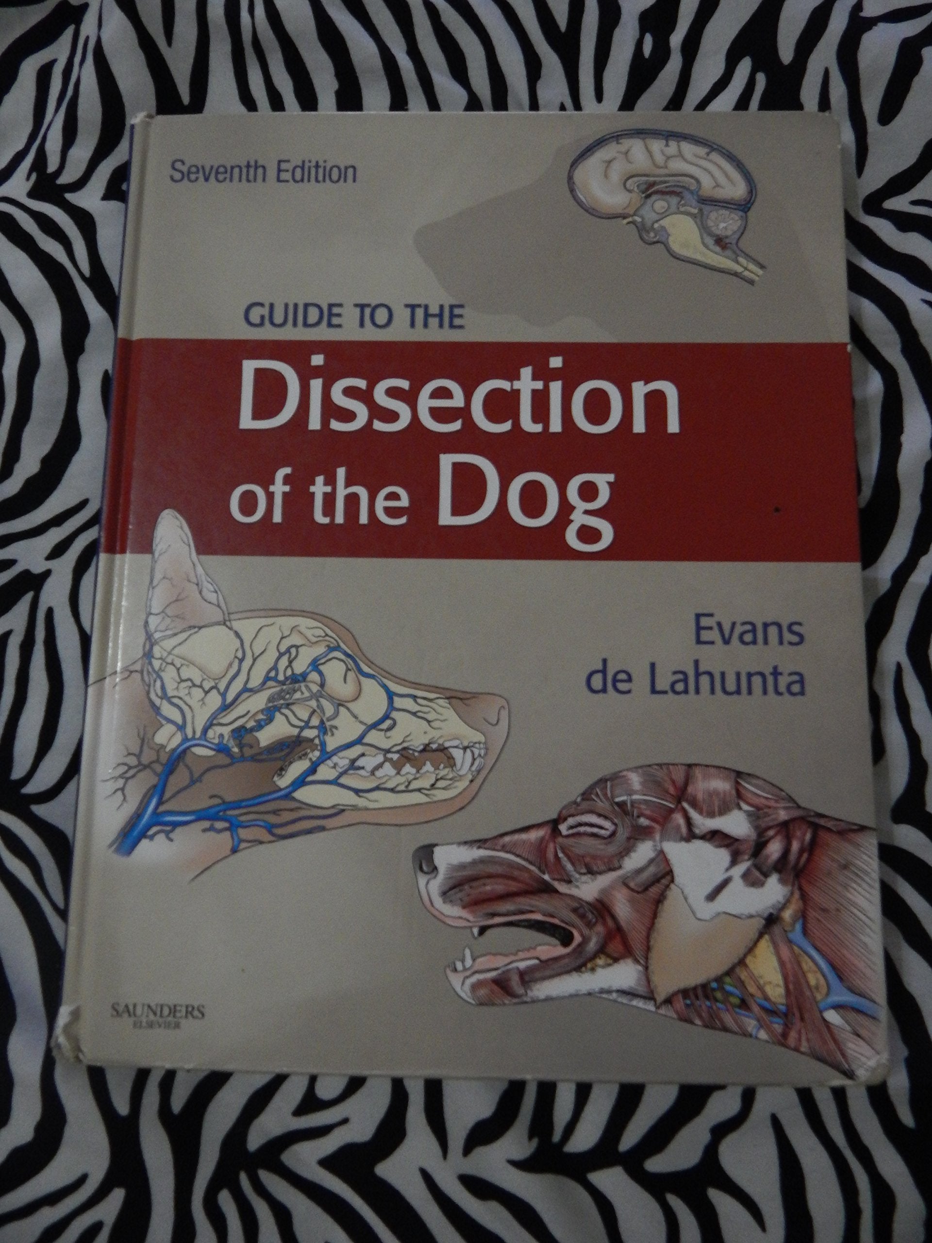 Guide to the Dissection of the Dog,Used