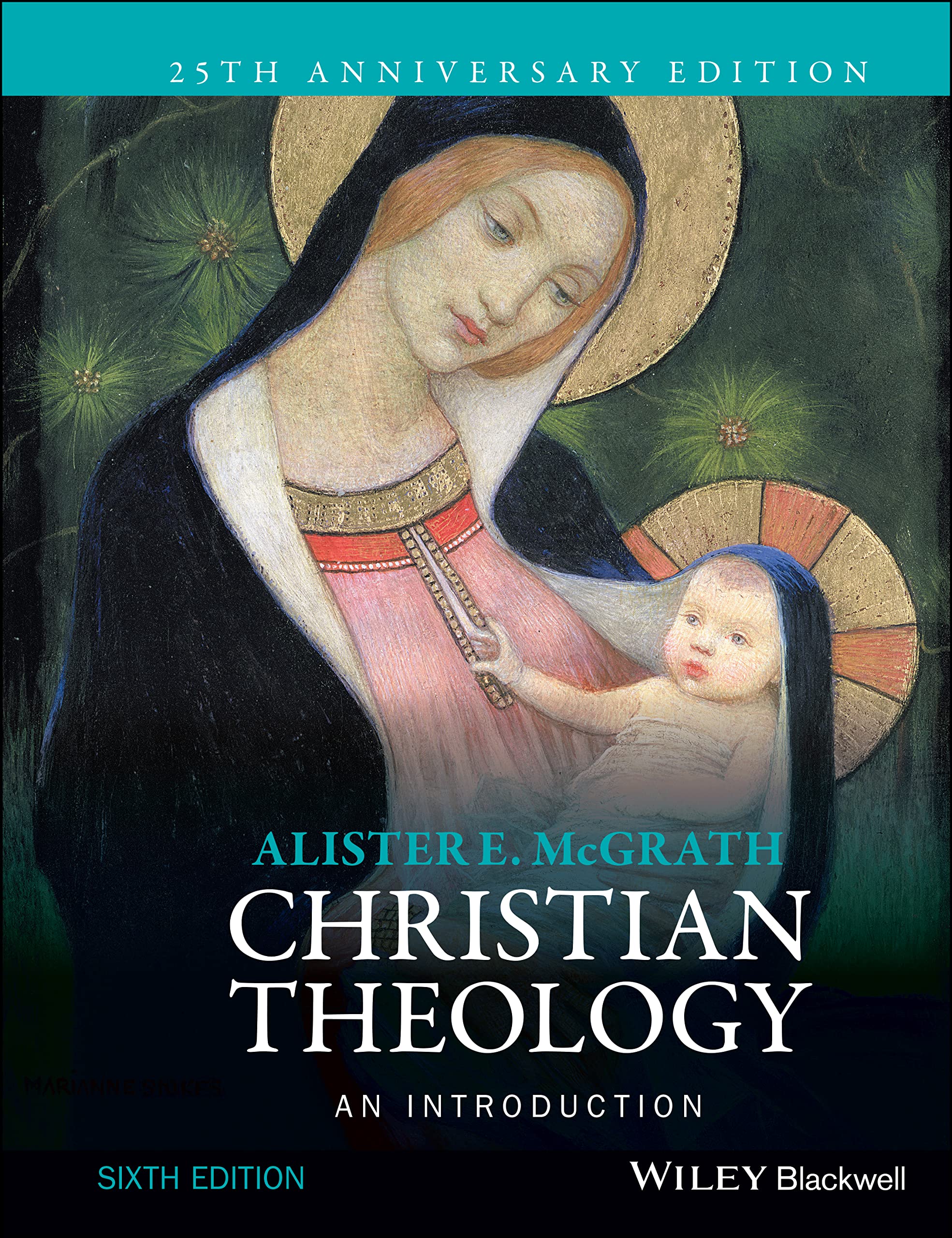 Christian Theology: An Introduction,Used