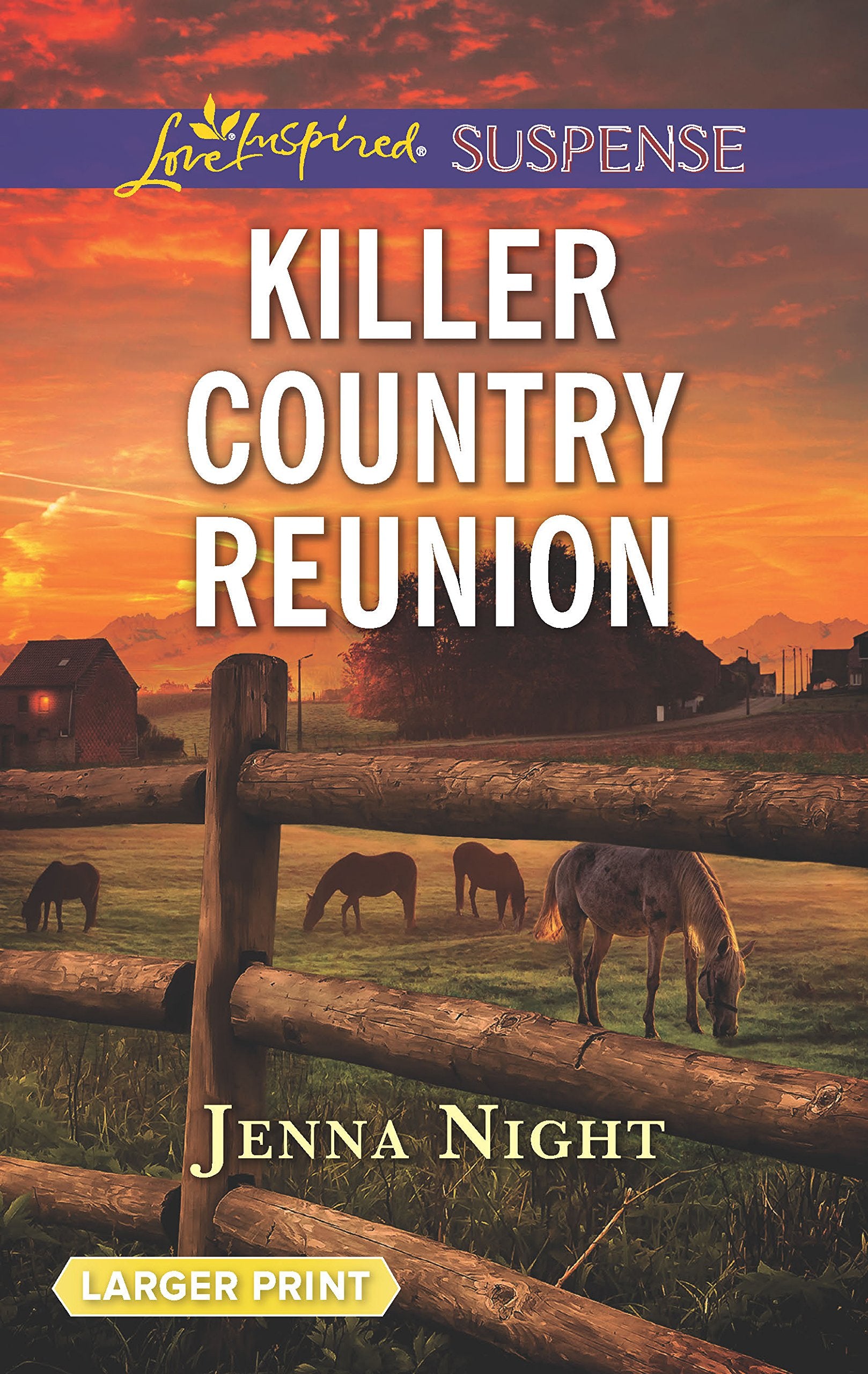 Killer Country Reunion (Love Inspired Suspense),Used
