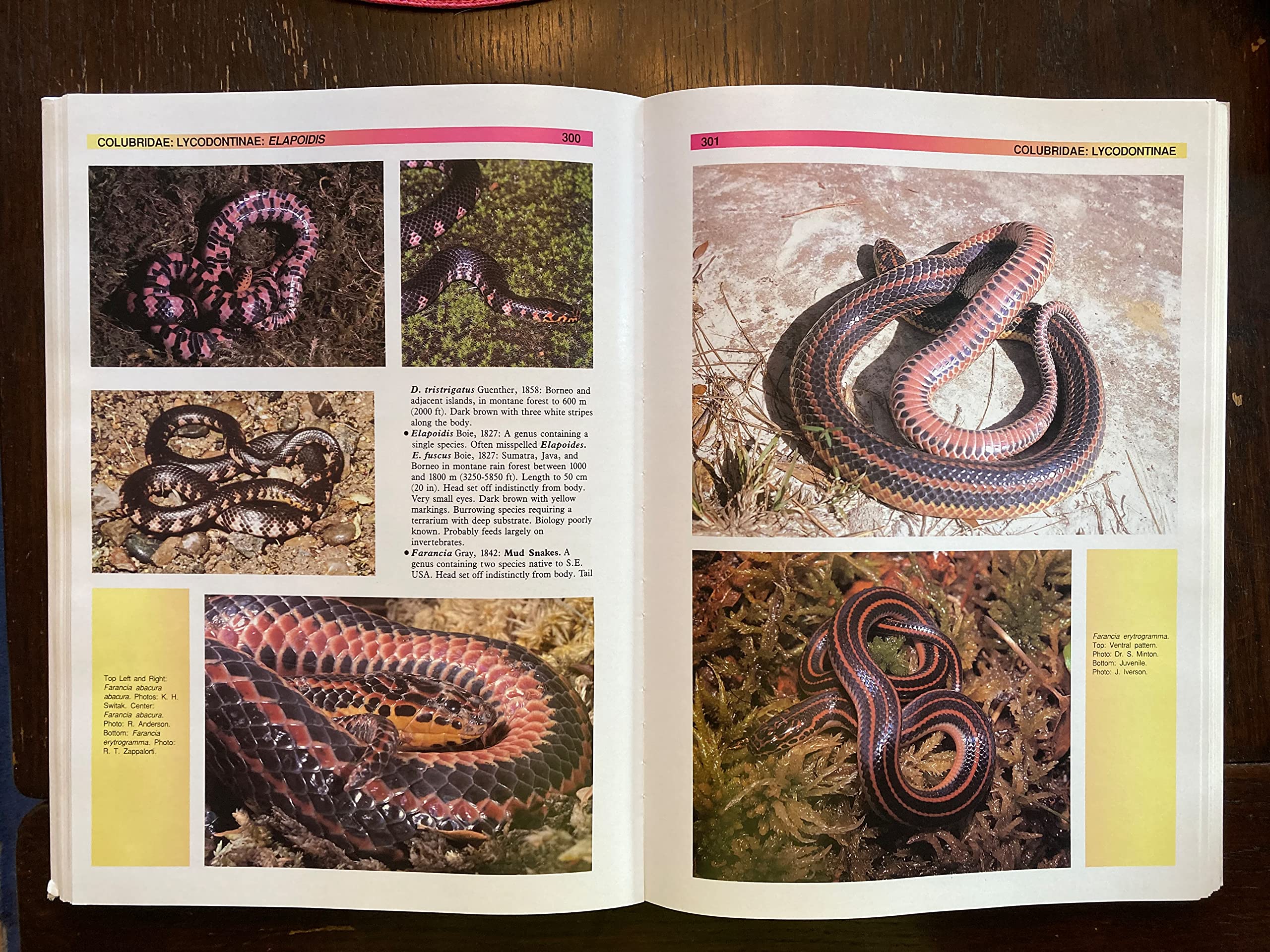 The Atlas of Snakes of the World,New