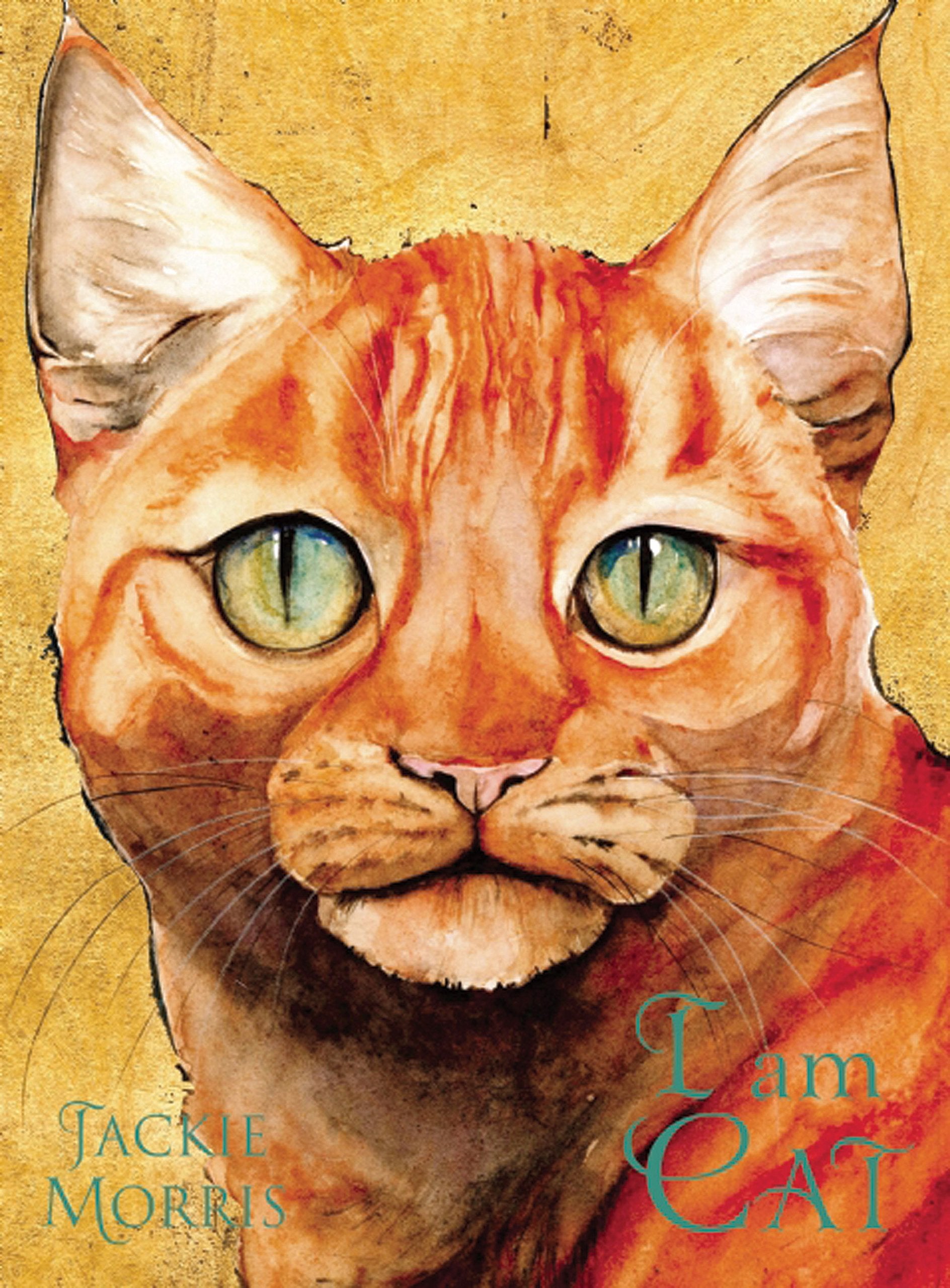 I Am Cat,Used