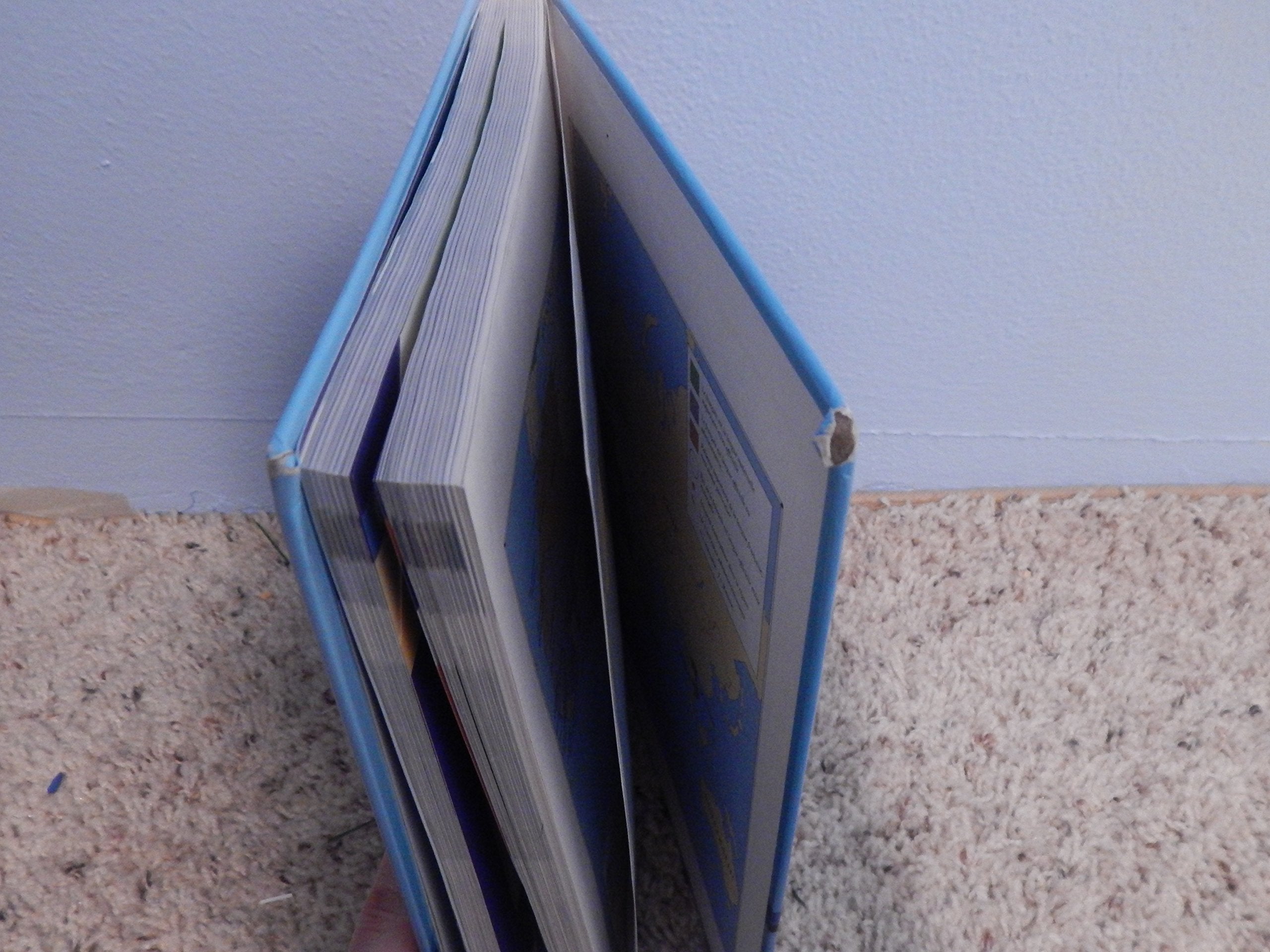 Visvis: Beginning French (Student Edition),Used