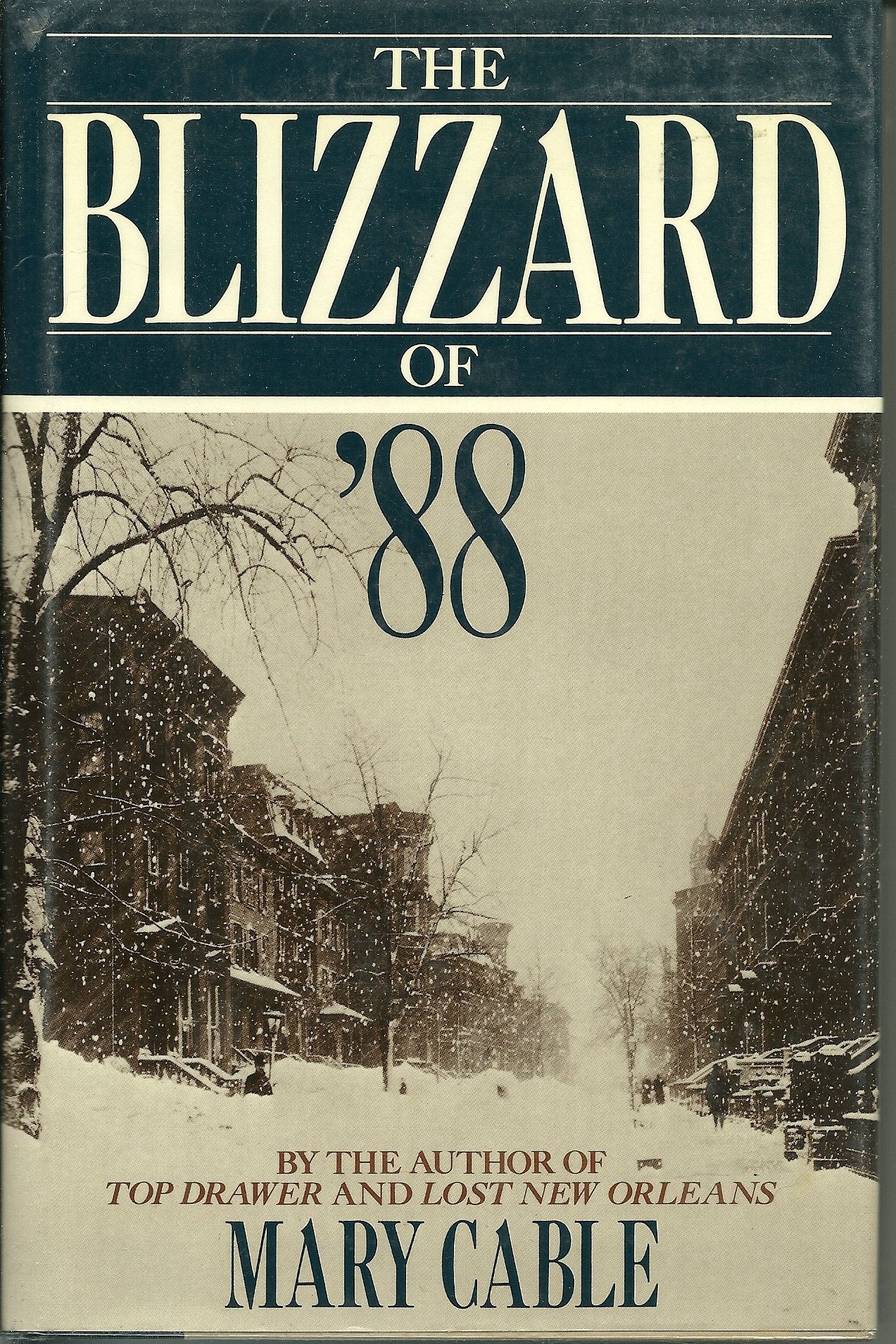 The Blizzard of '88,Used