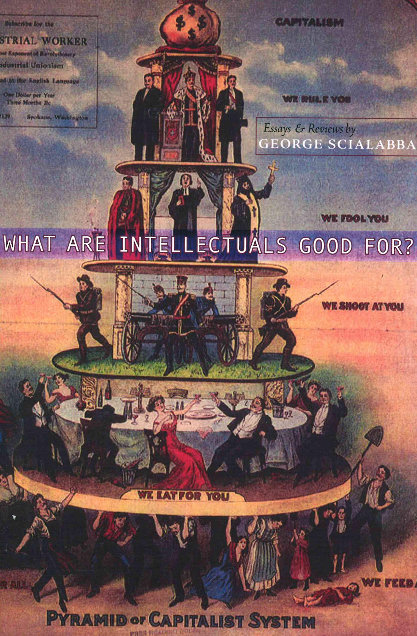 What Are Intellectuals Good For?,Used