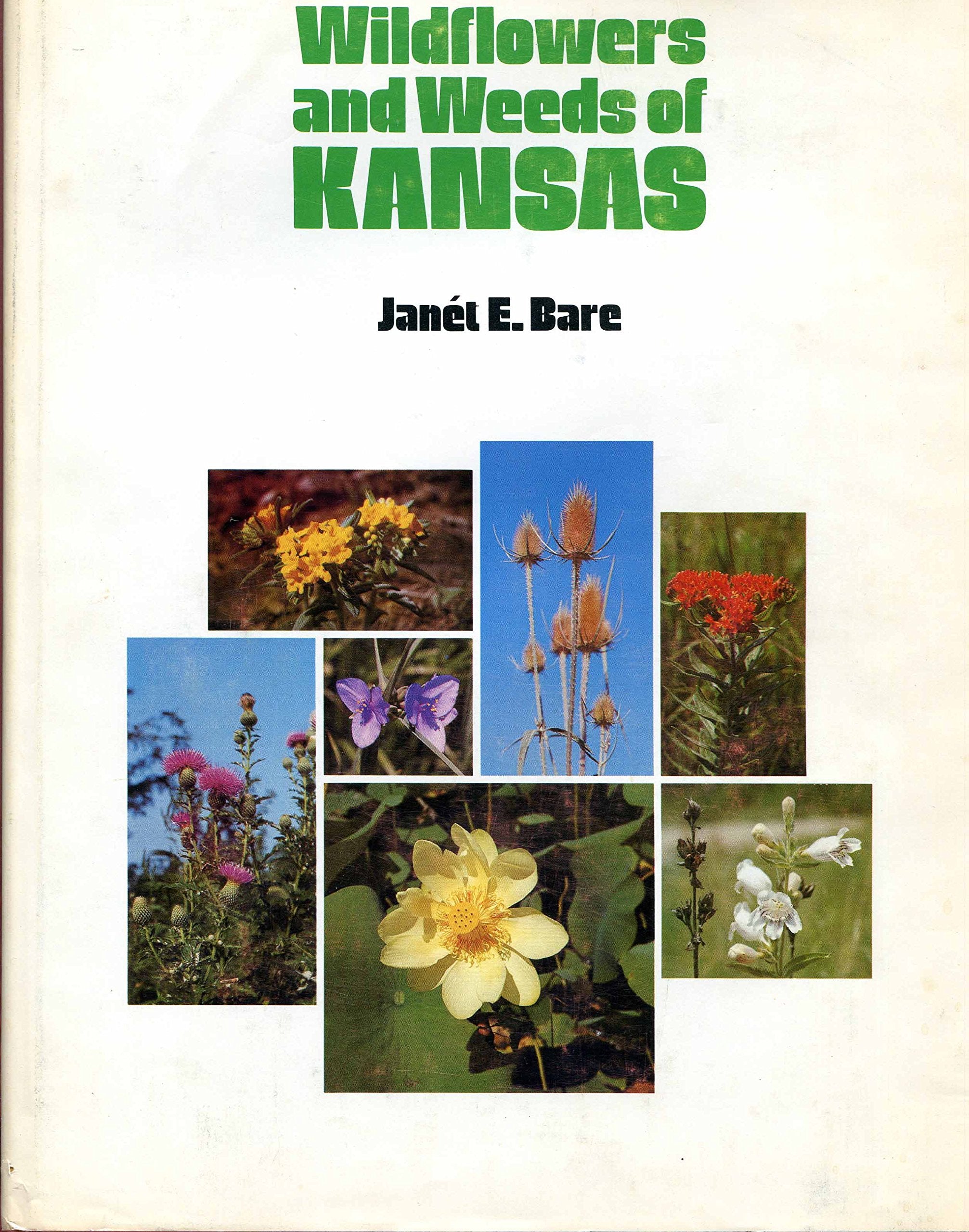 Wildflowers And Weeds Of Kansas,Used