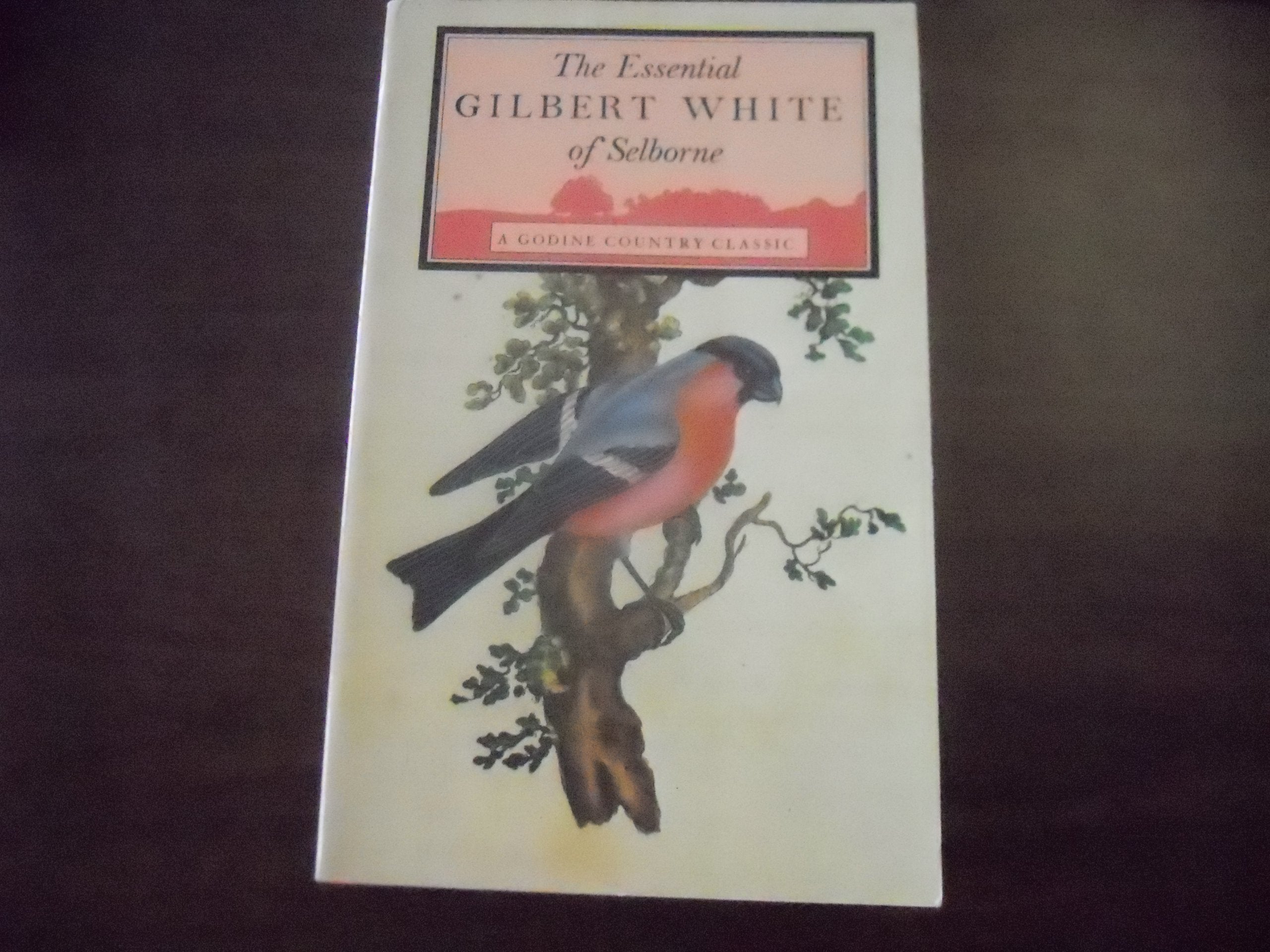 The Essential Gilbert White Of Selborne,Used