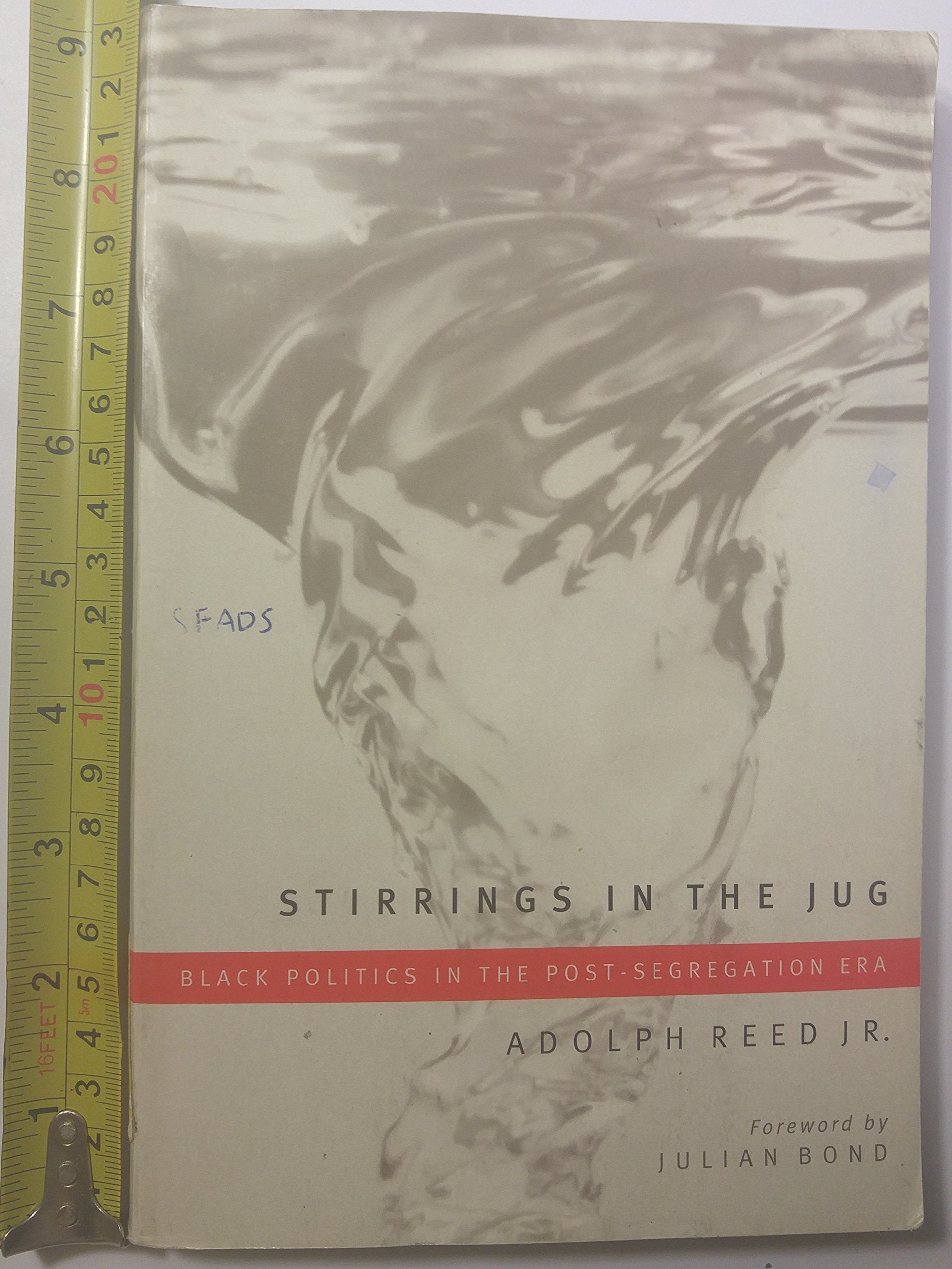 Stirrings In The Jug: Black Politics In The Postsegregation Era,Used
