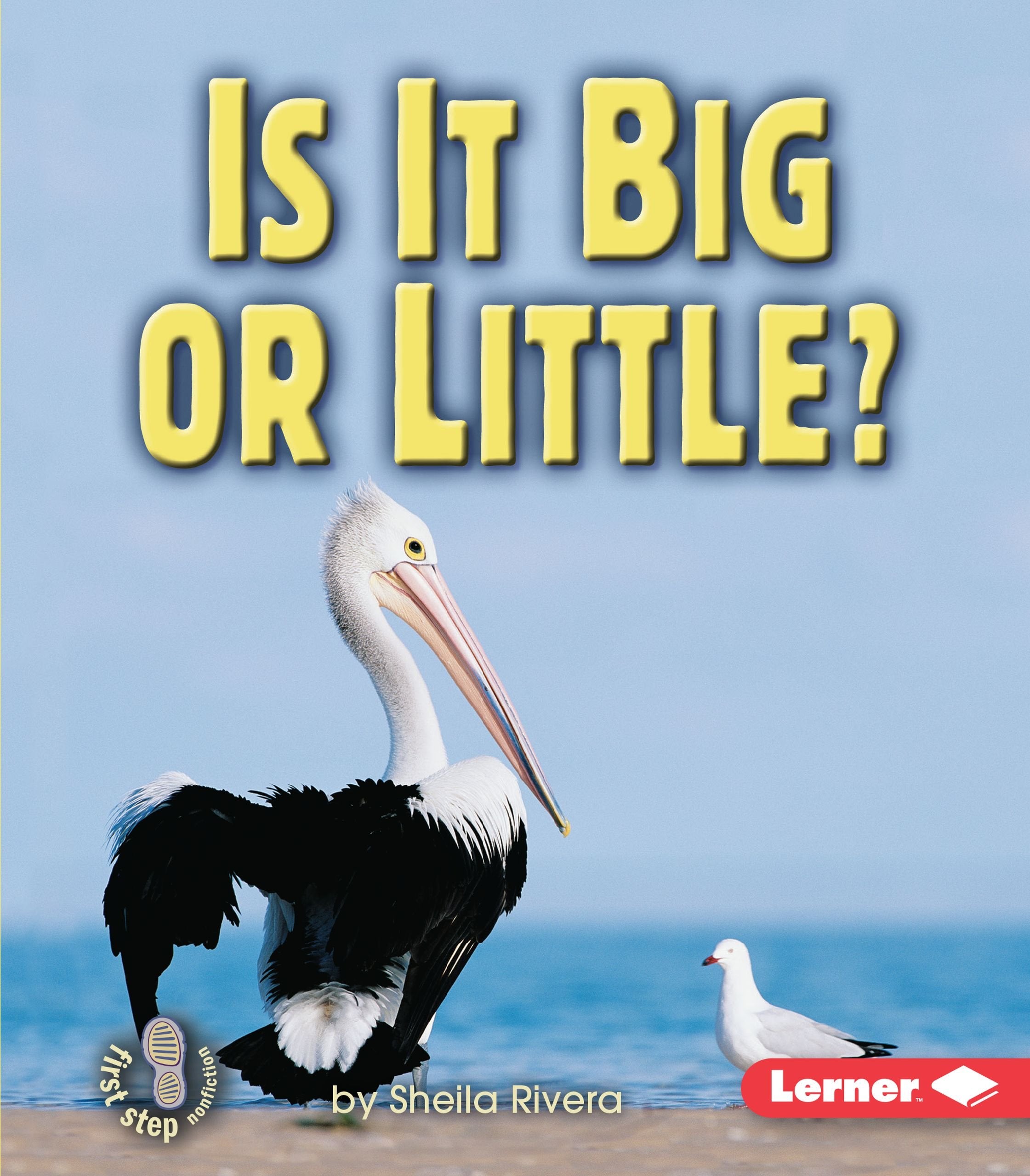 Is It Big or Little? (First Step Nonfiction Properties of Matter),Used