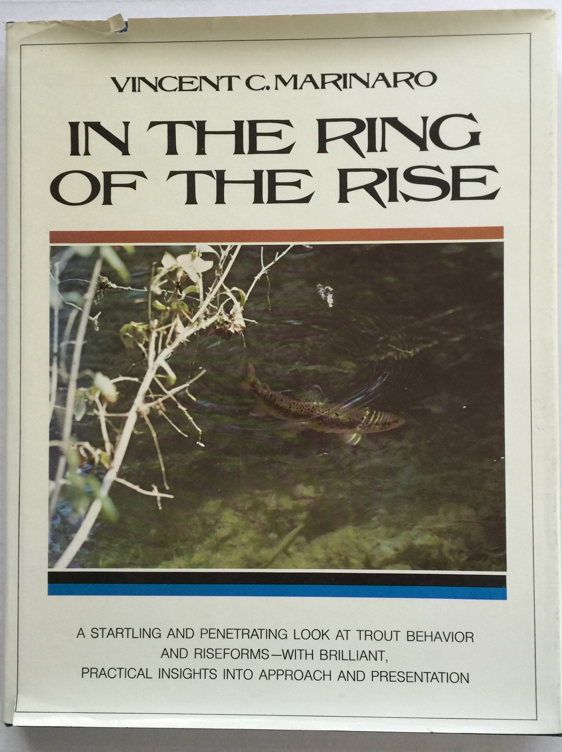In the ring of the rise,New